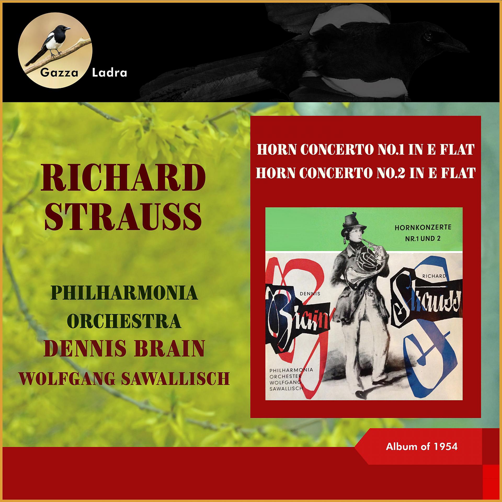Постер альбома Richard Strauss: Horn Concerto No.1 in E Flat - Horn Concerto No.2 in E Flat