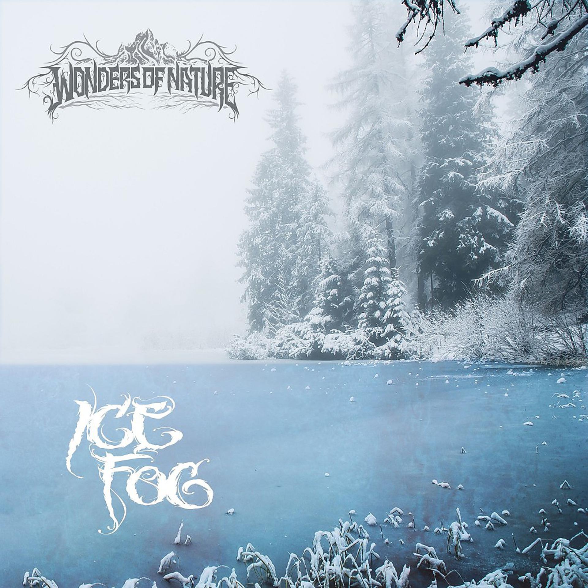 Постер альбома Ice Fog