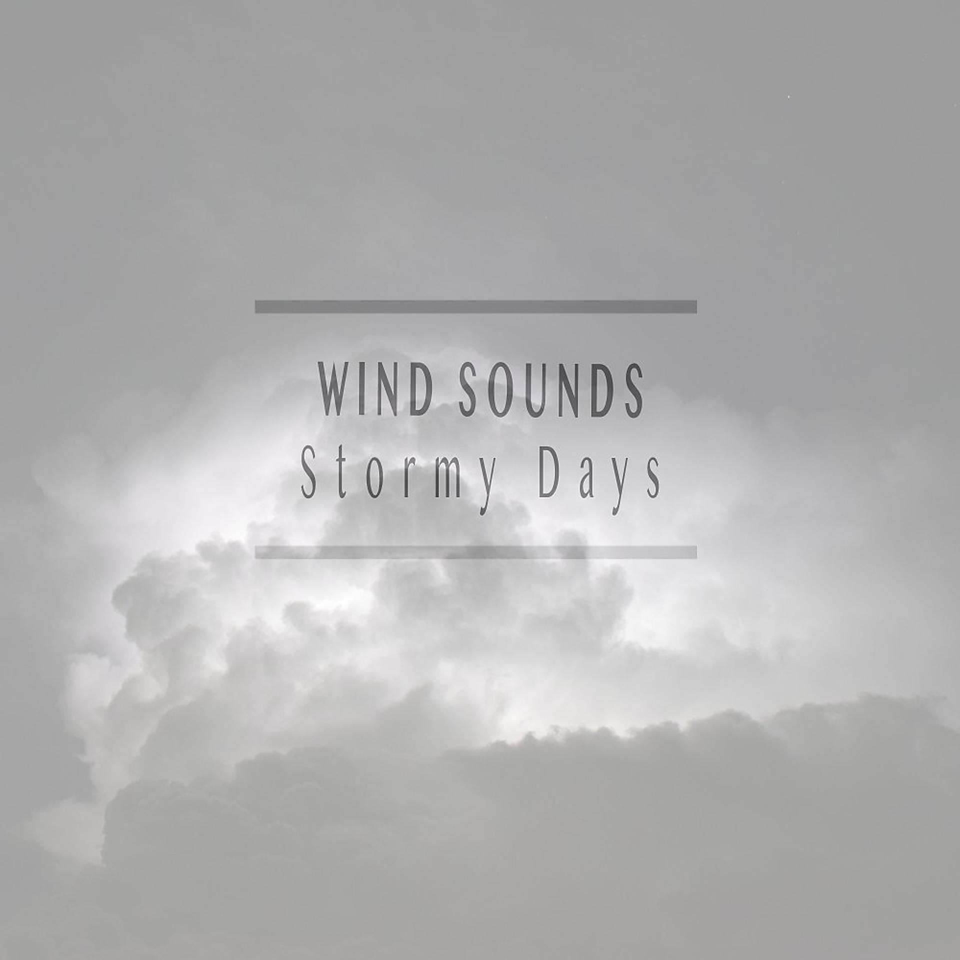 Постер альбома Stormy Days