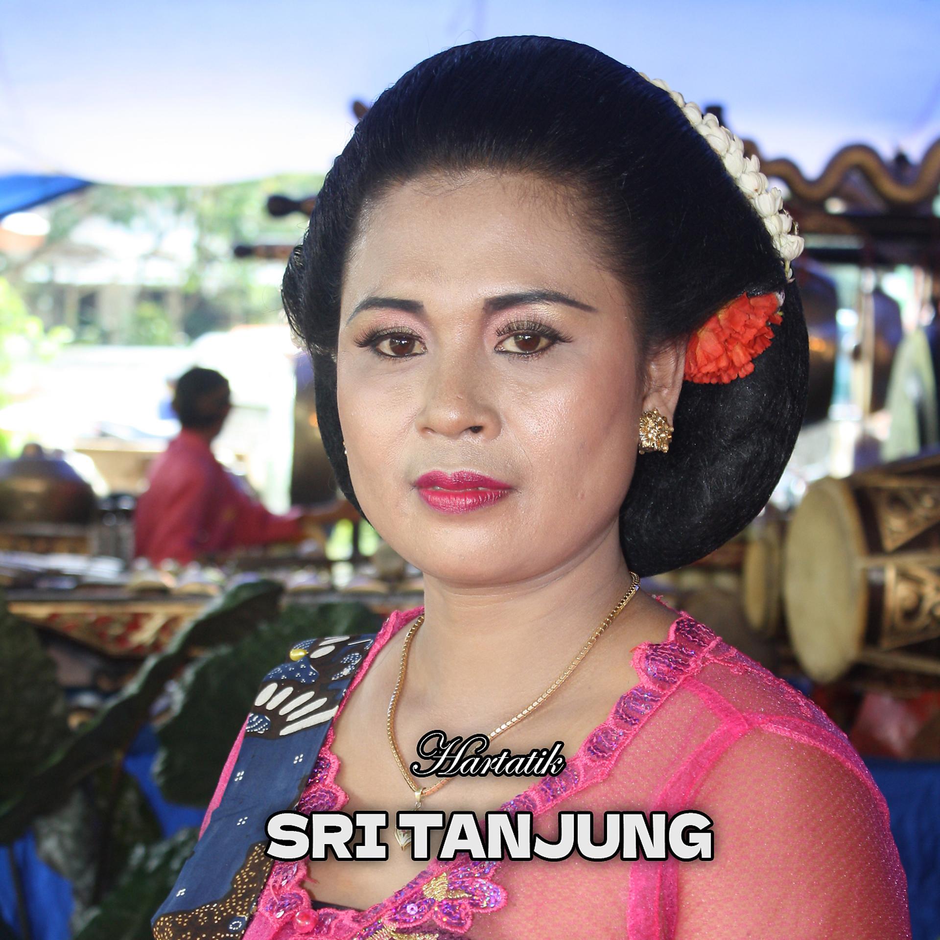 Постер альбома Sri Tanjung