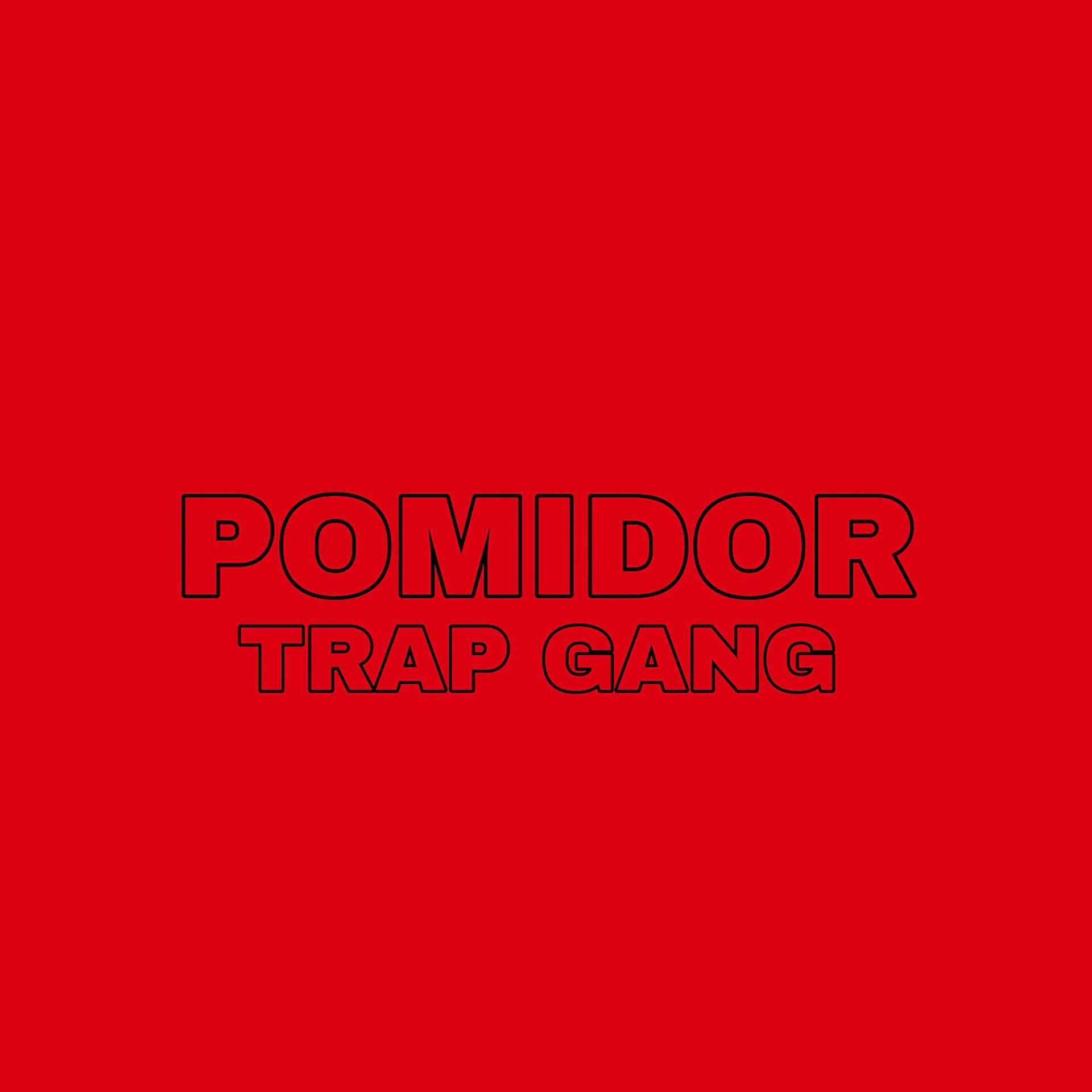 Постер альбома Trap gang
