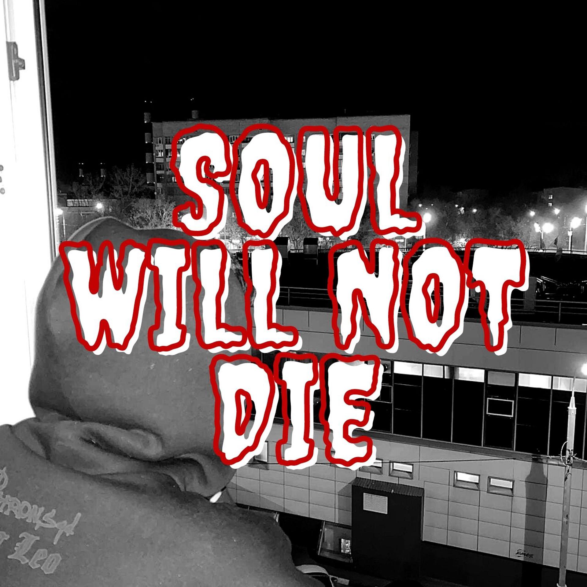 Постер альбома Soul will not die