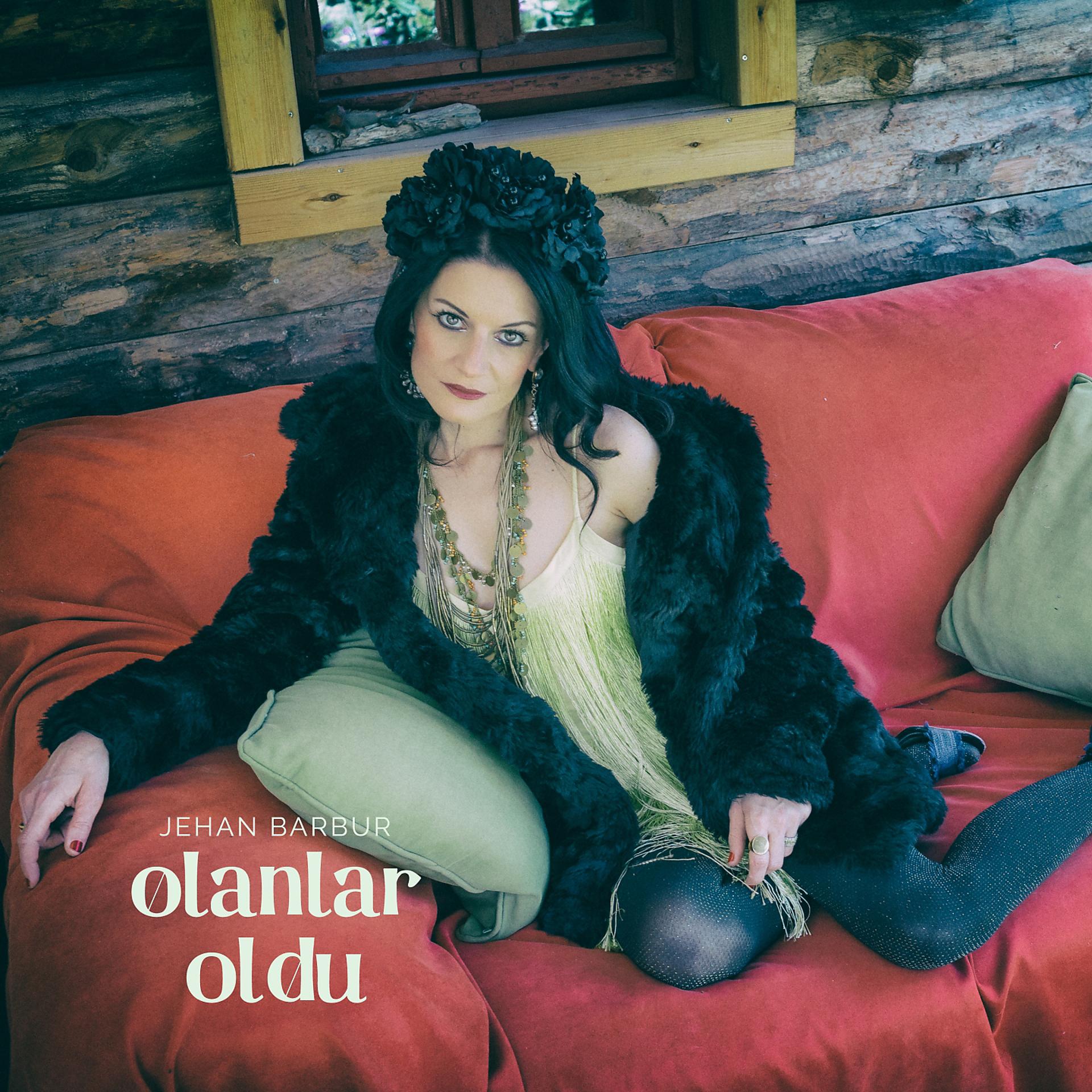 Постер альбома Olanlar Oldu