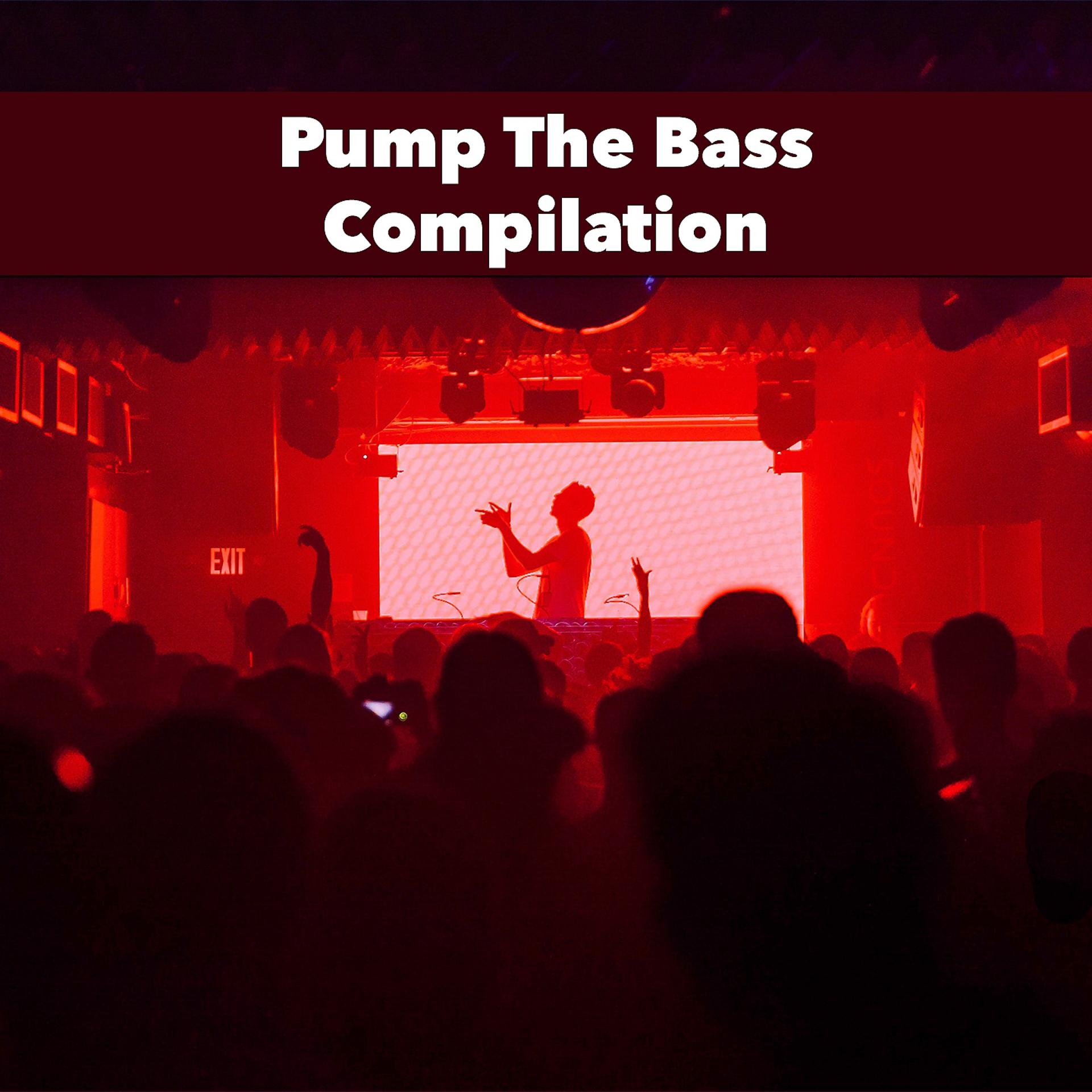 Постер альбома Pump The Bass Compilation