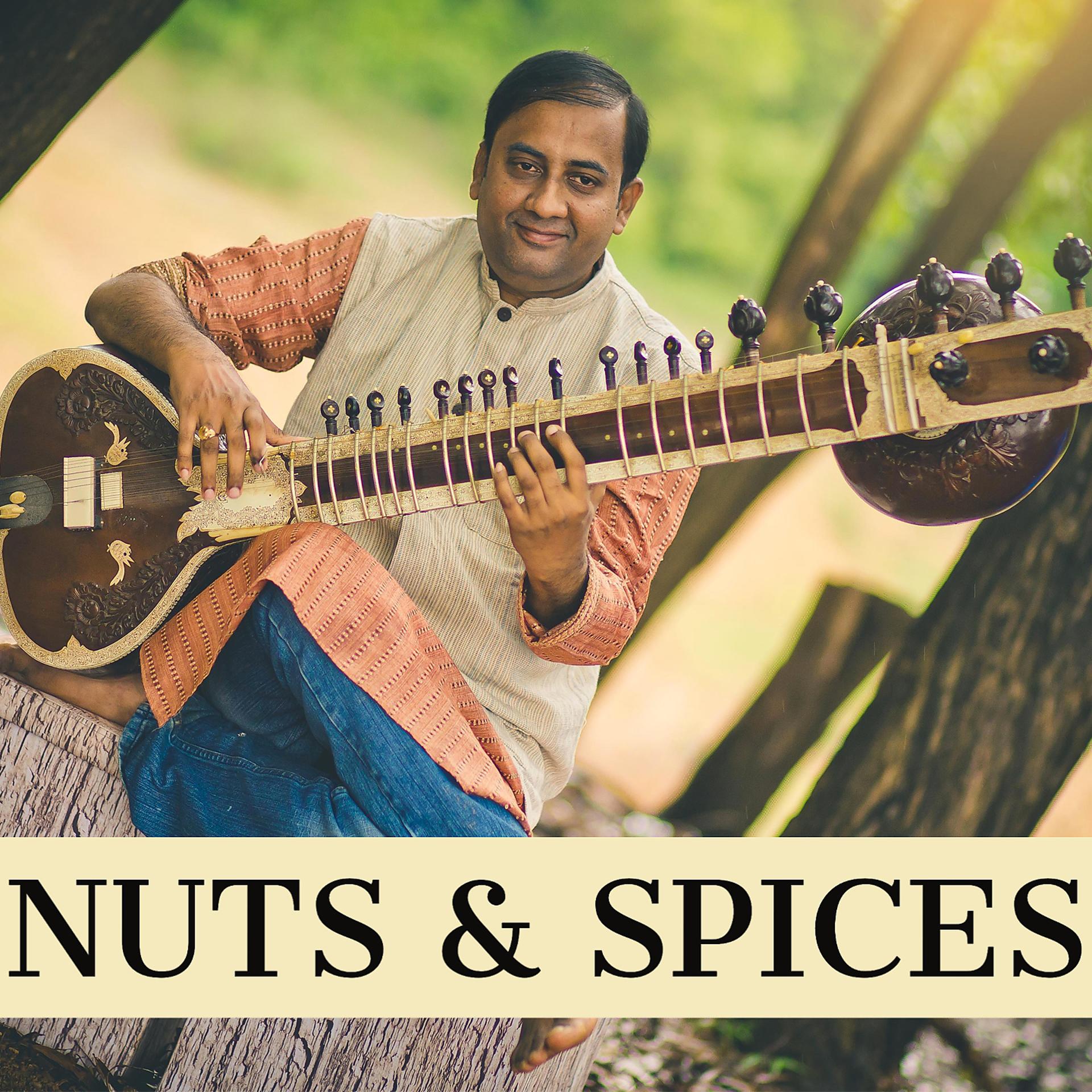 Постер альбома Nuts and Spices - Indian Classical Fusion
