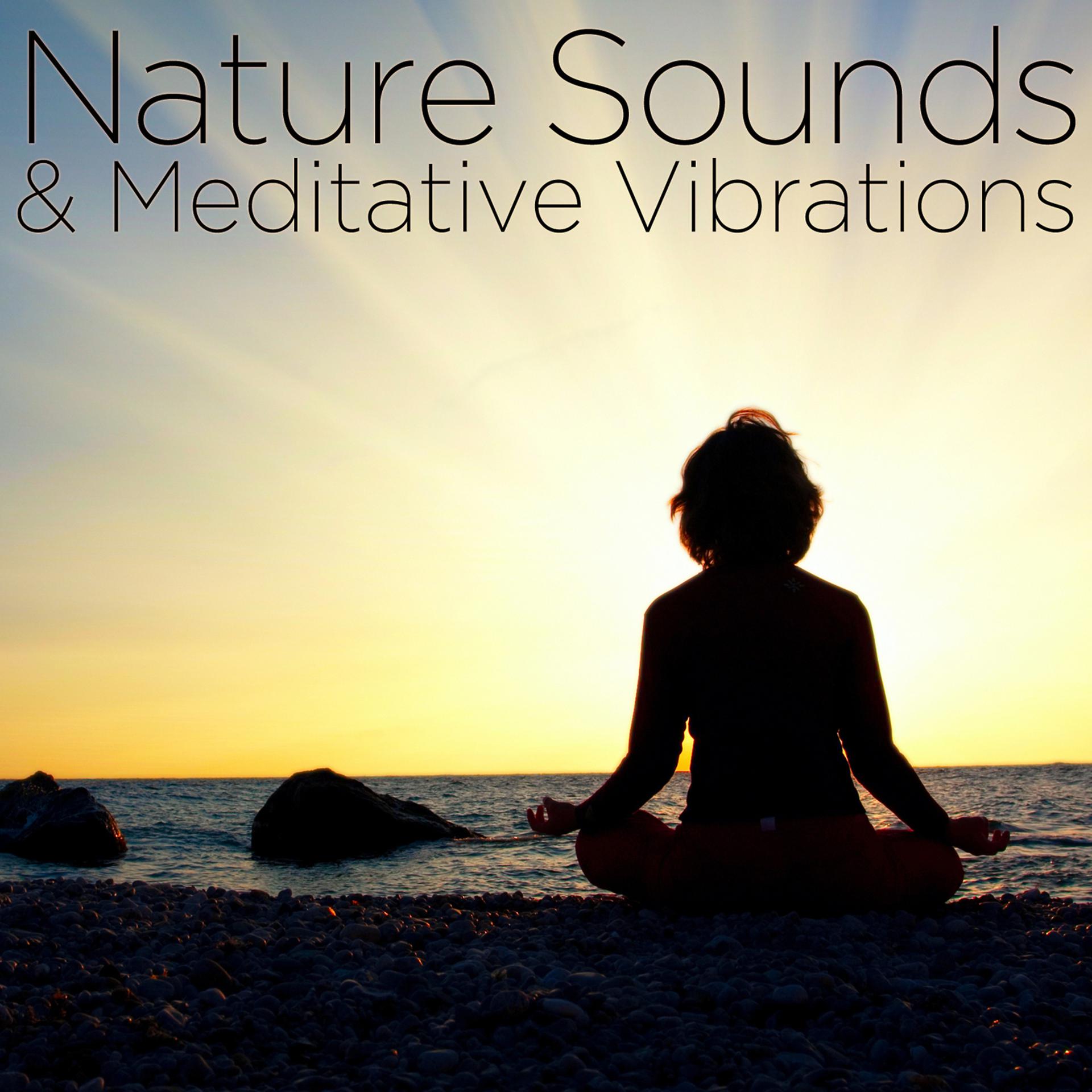 Постер альбома Nature Sounds & Meditative Vibrations
