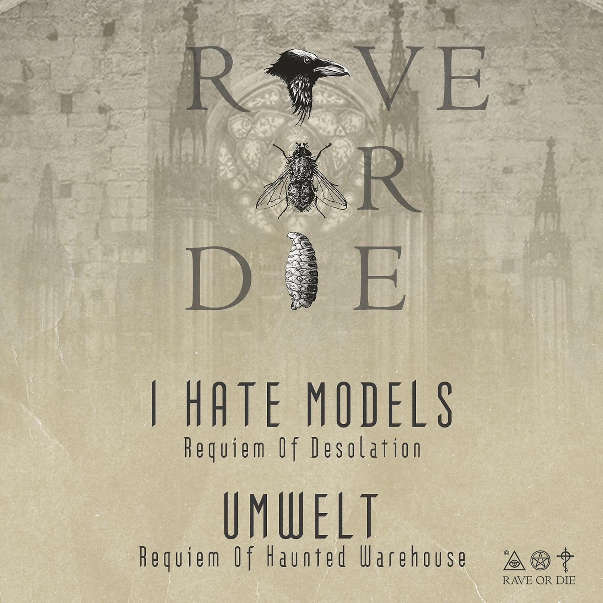 Постер альбома Rave or Die 10