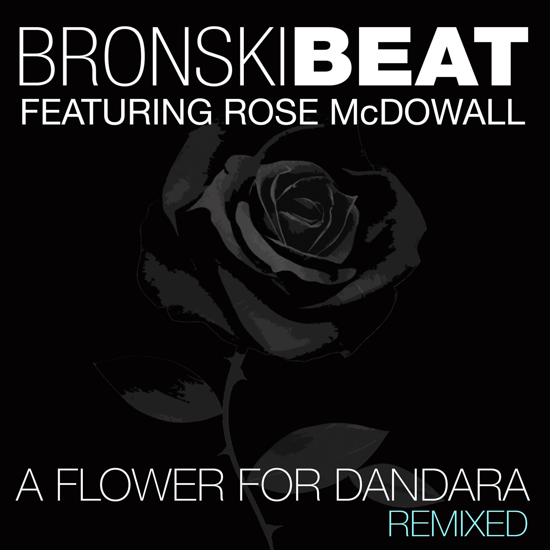 Постер альбома A Flower for Dandara (feat. Rose McDowall) [Remixed]