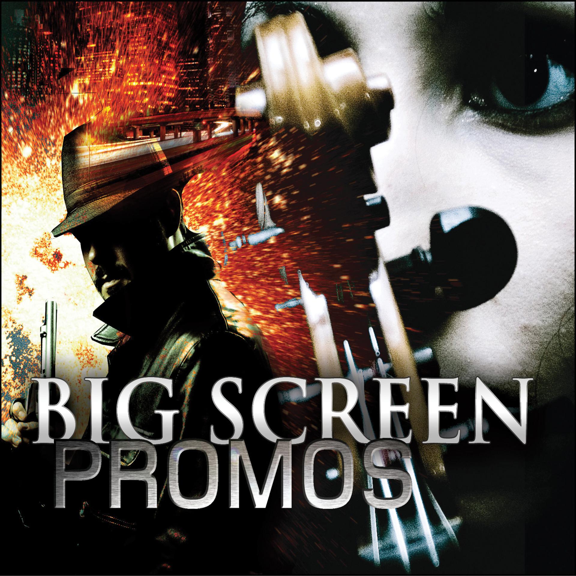 Постер альбома Big Screen Promos