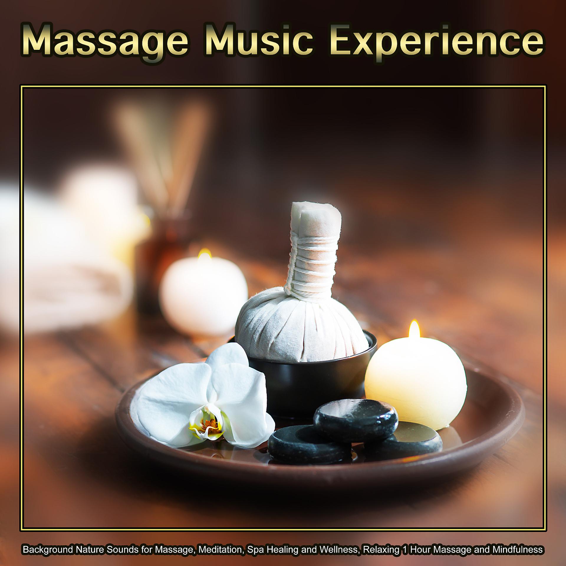 Постер альбома Massage Music Experience: Background Nature Sounds for Massage, Meditation, Spa Healing and Wellness, Relaxing 1 Hour Massage and Mindfulness