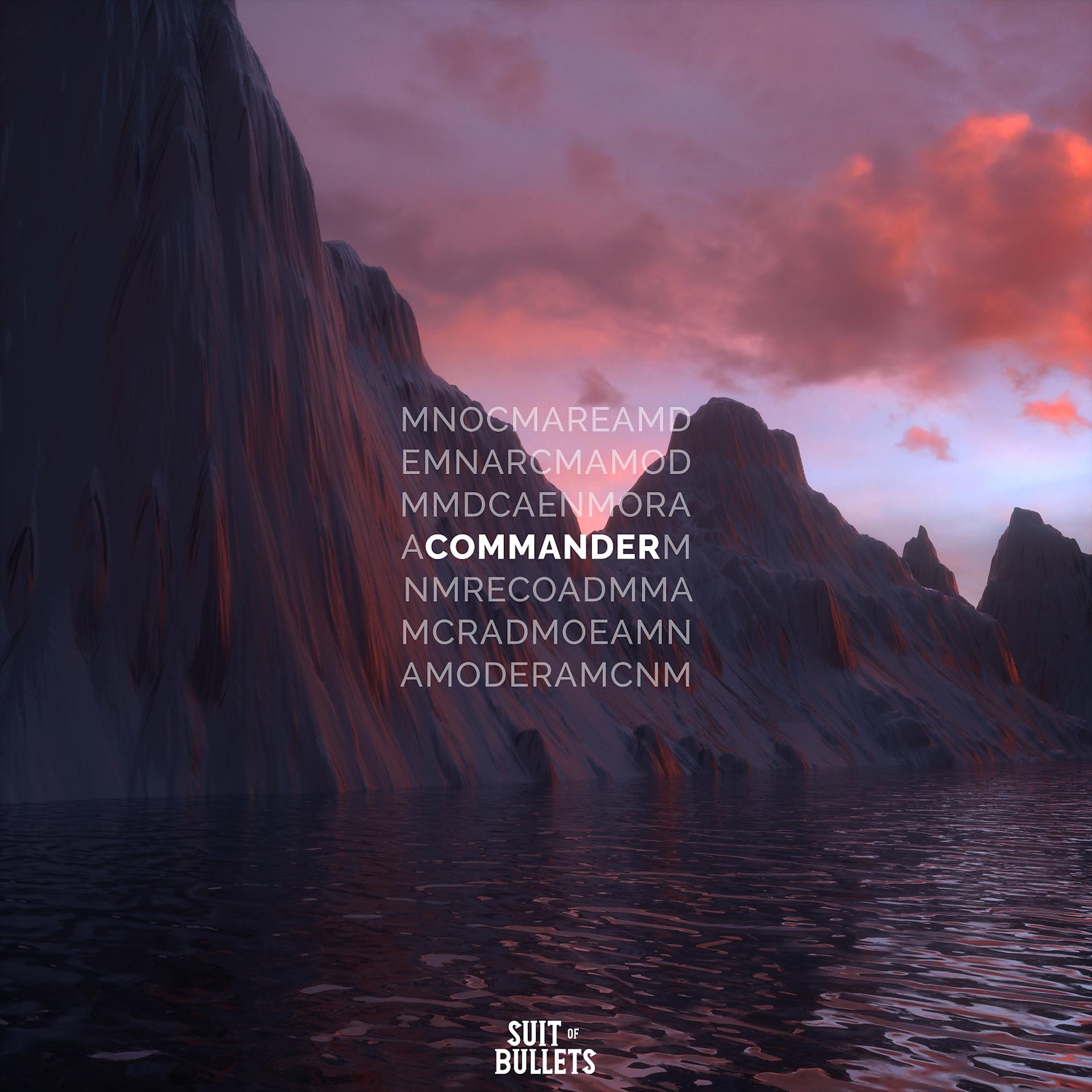 Постер альбома Commander
