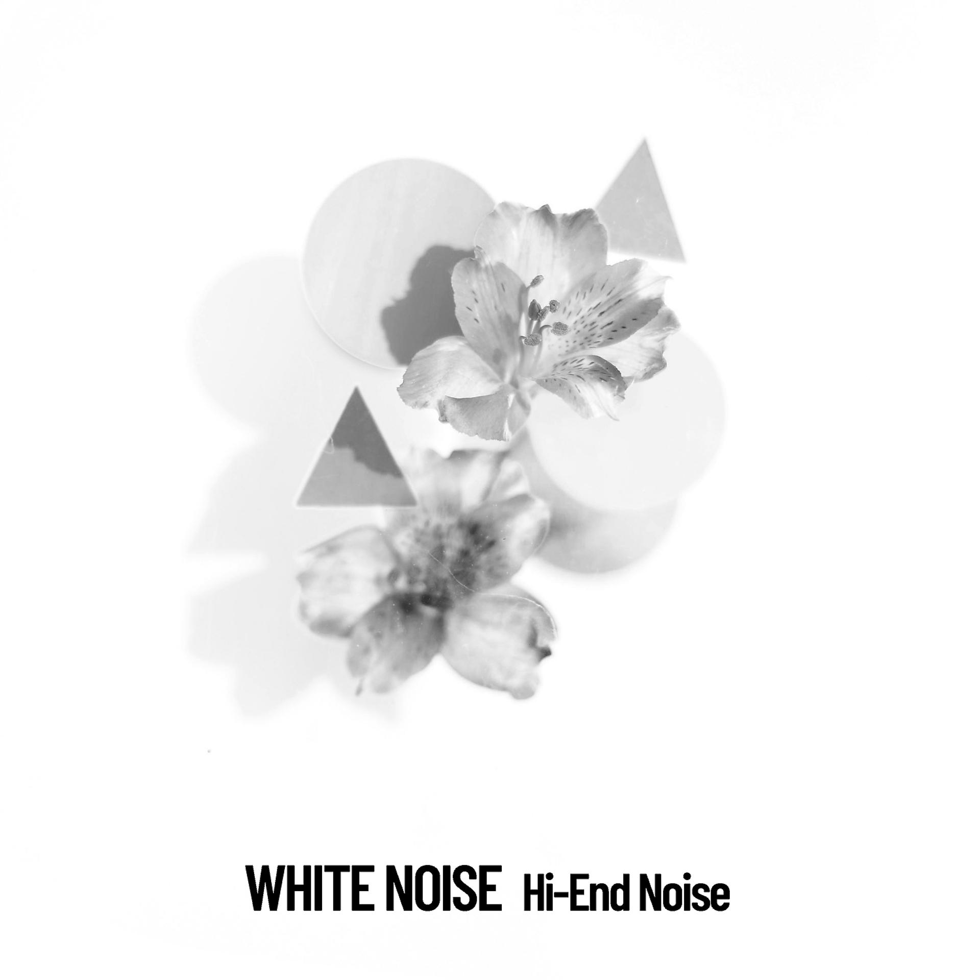 Постер альбома White Noise: Hi-End Noise