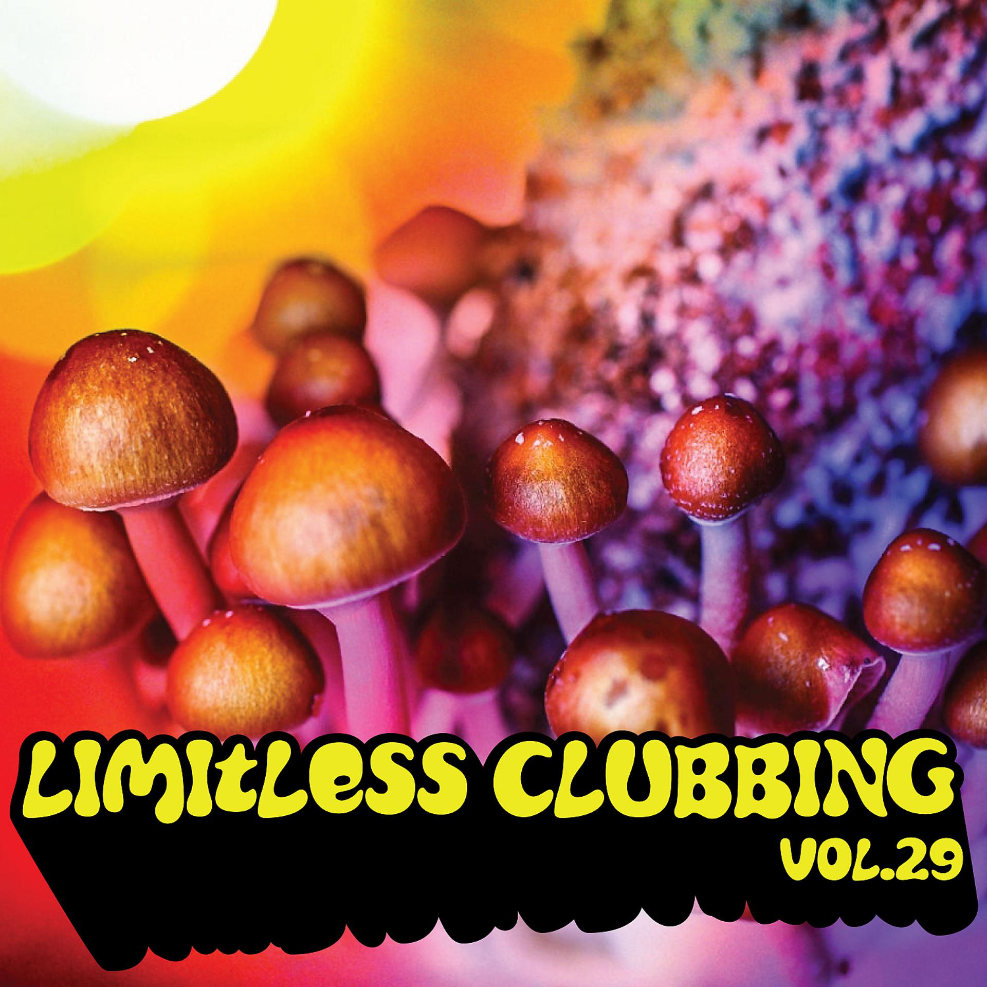 Постер альбома Limitless Clubbing, Vol. 29