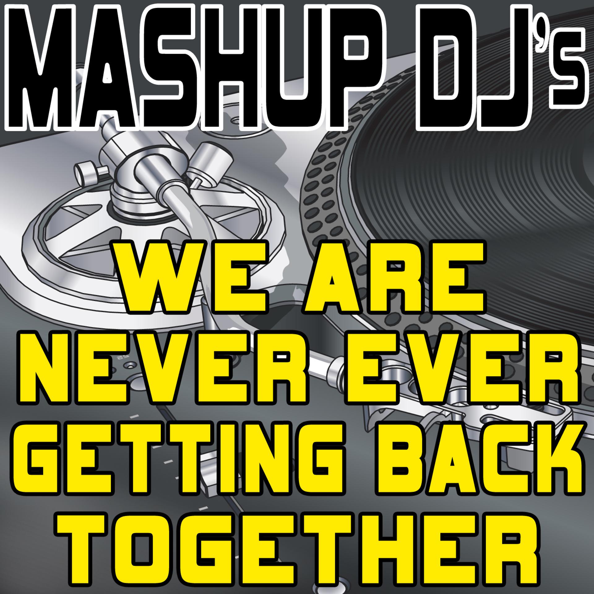 Постер альбома We Are Never Ever Getting Back Together (Remix Tools for Mash-Ups)