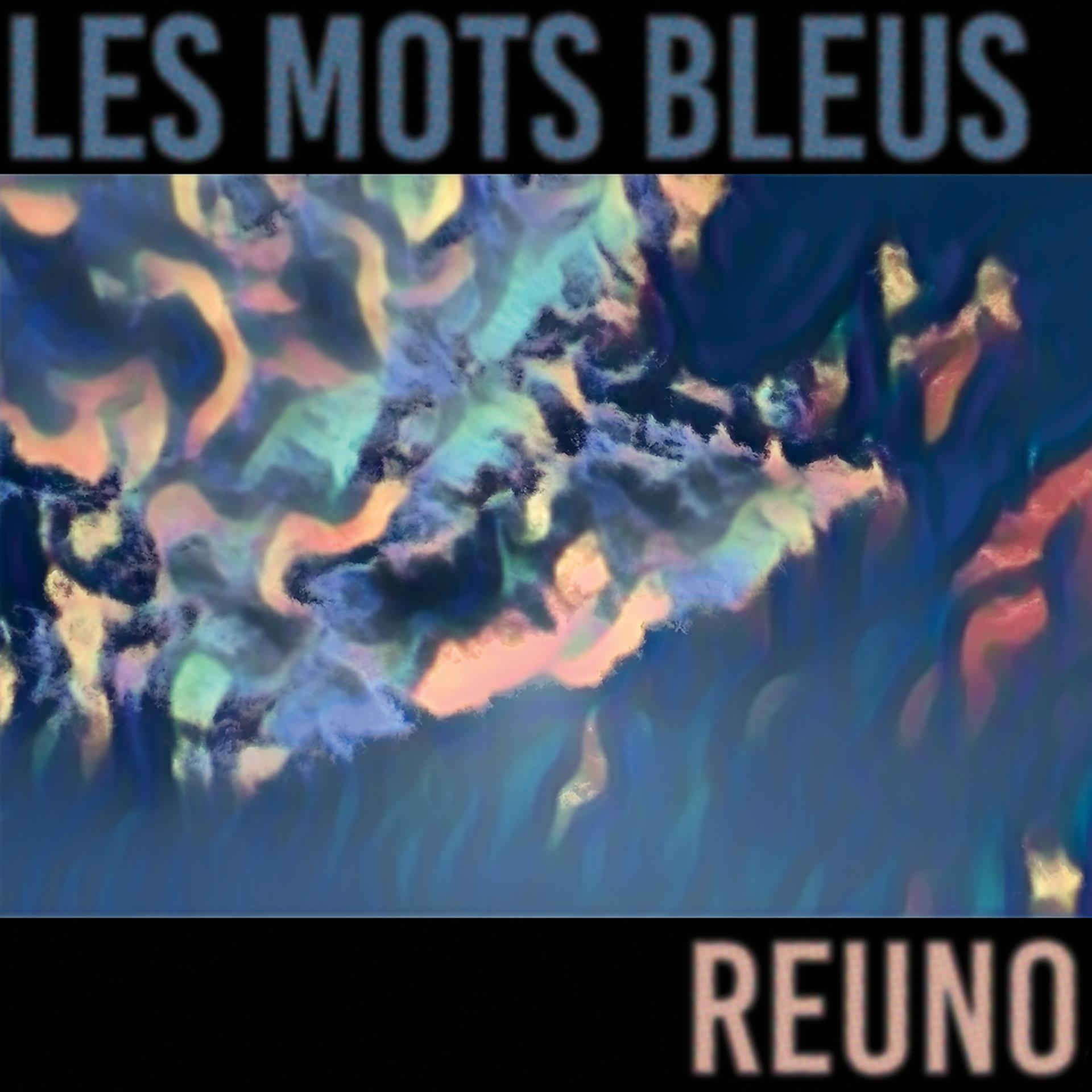 Постер альбома Les mots bleus