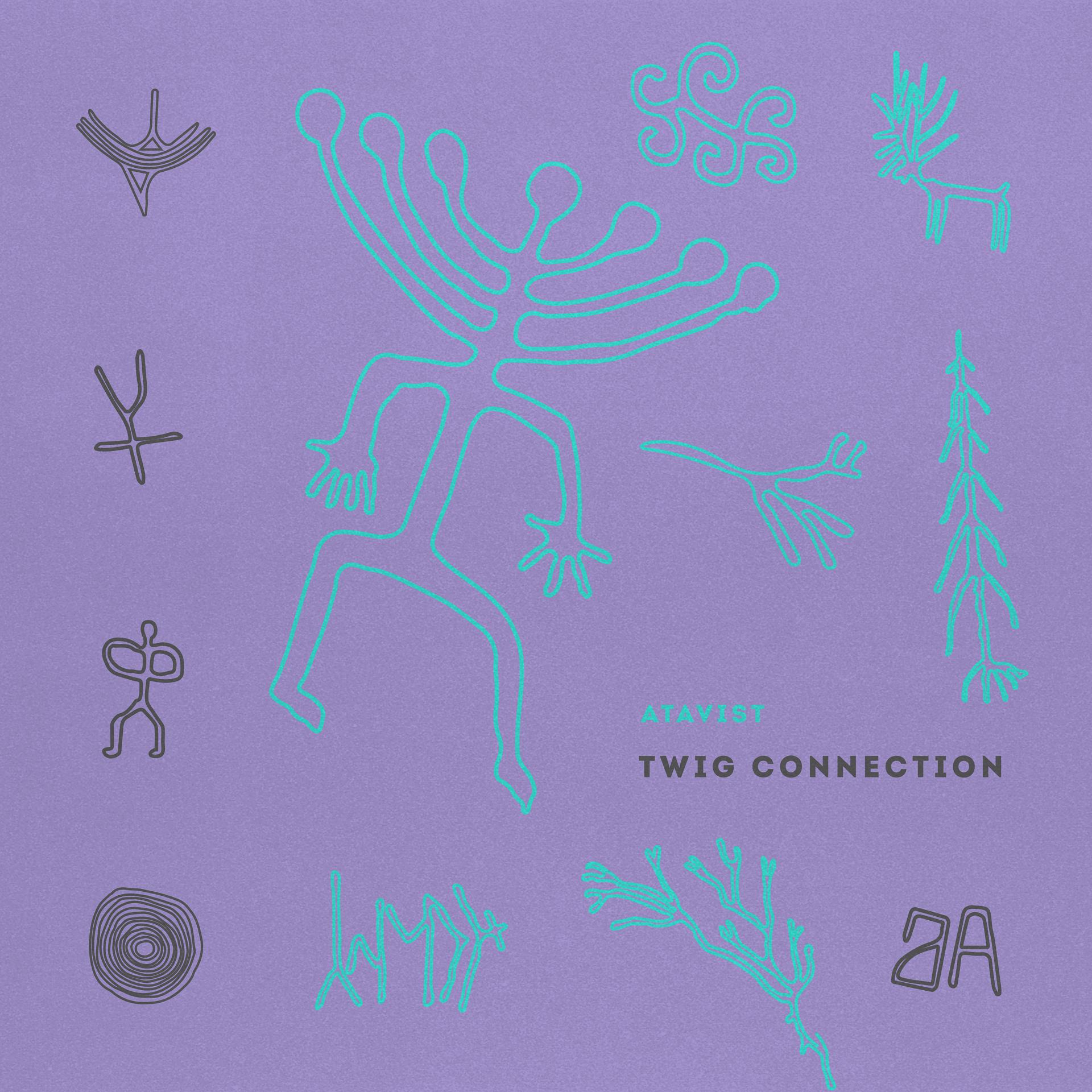 Постер альбома Twig Connection
