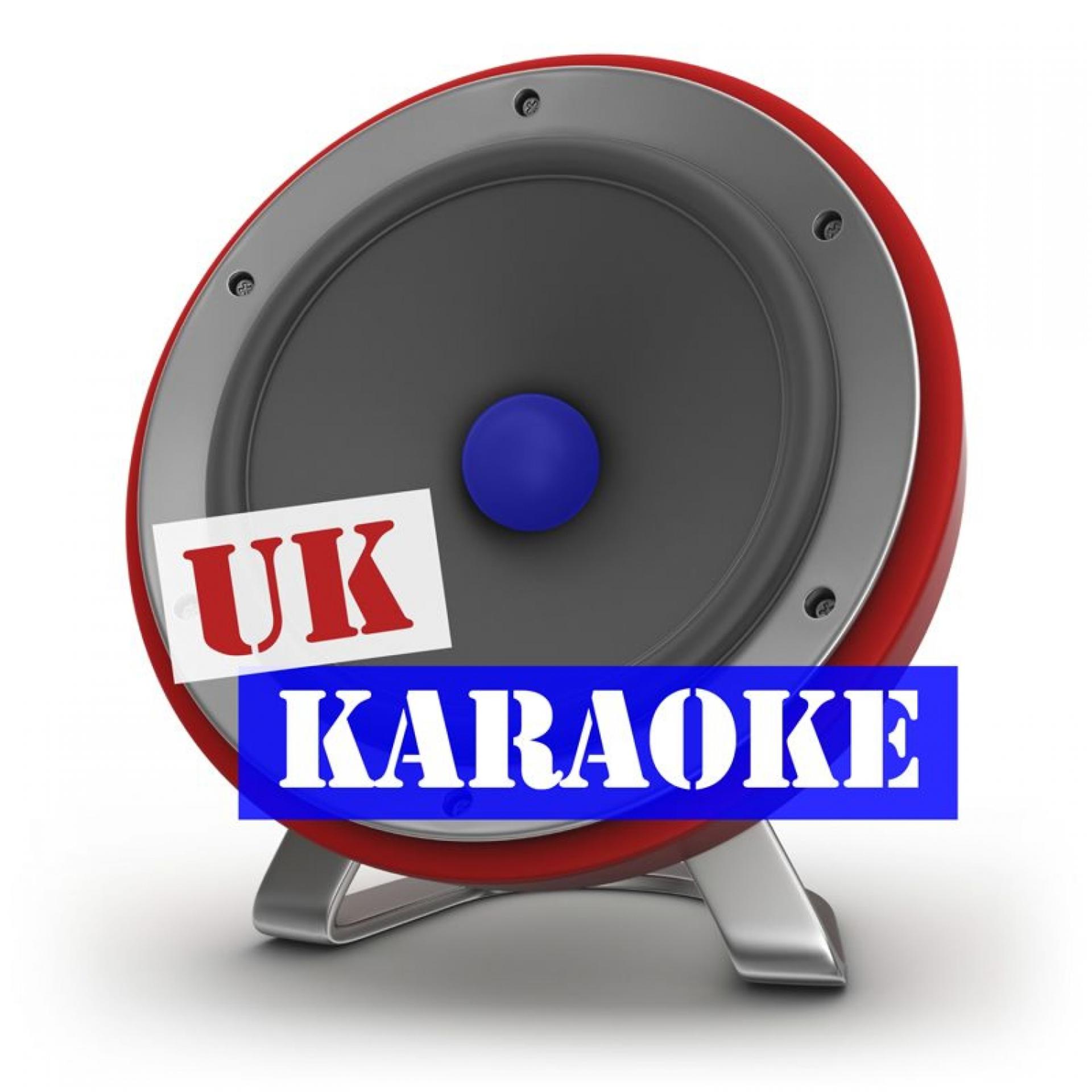 Постер альбома Dirty Dancer - (In the Style of Enrique Iglesias With Usher Feat. Lil Wayne) [Karaoke / Instrumental] - Single