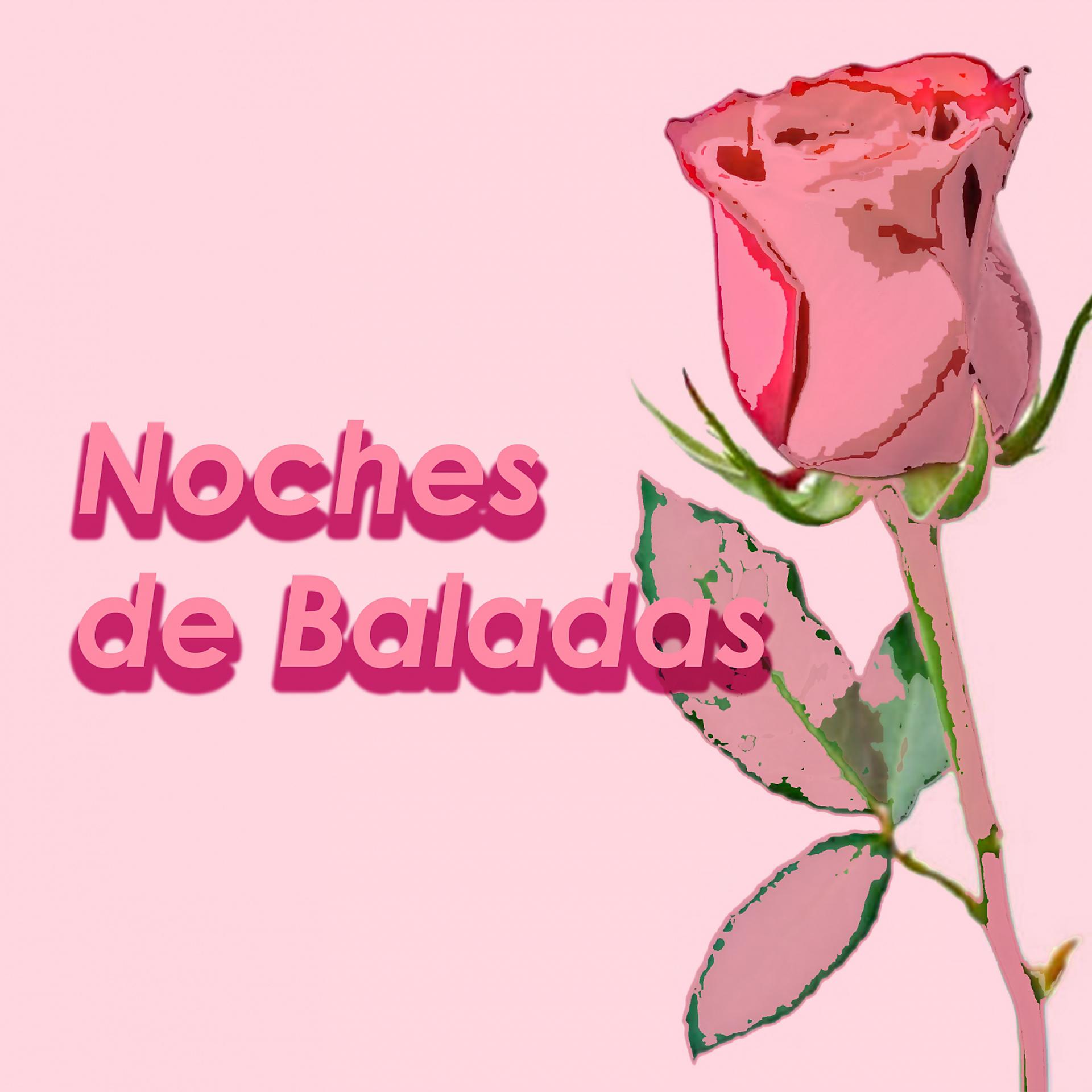Постер альбома Noches De Baladas