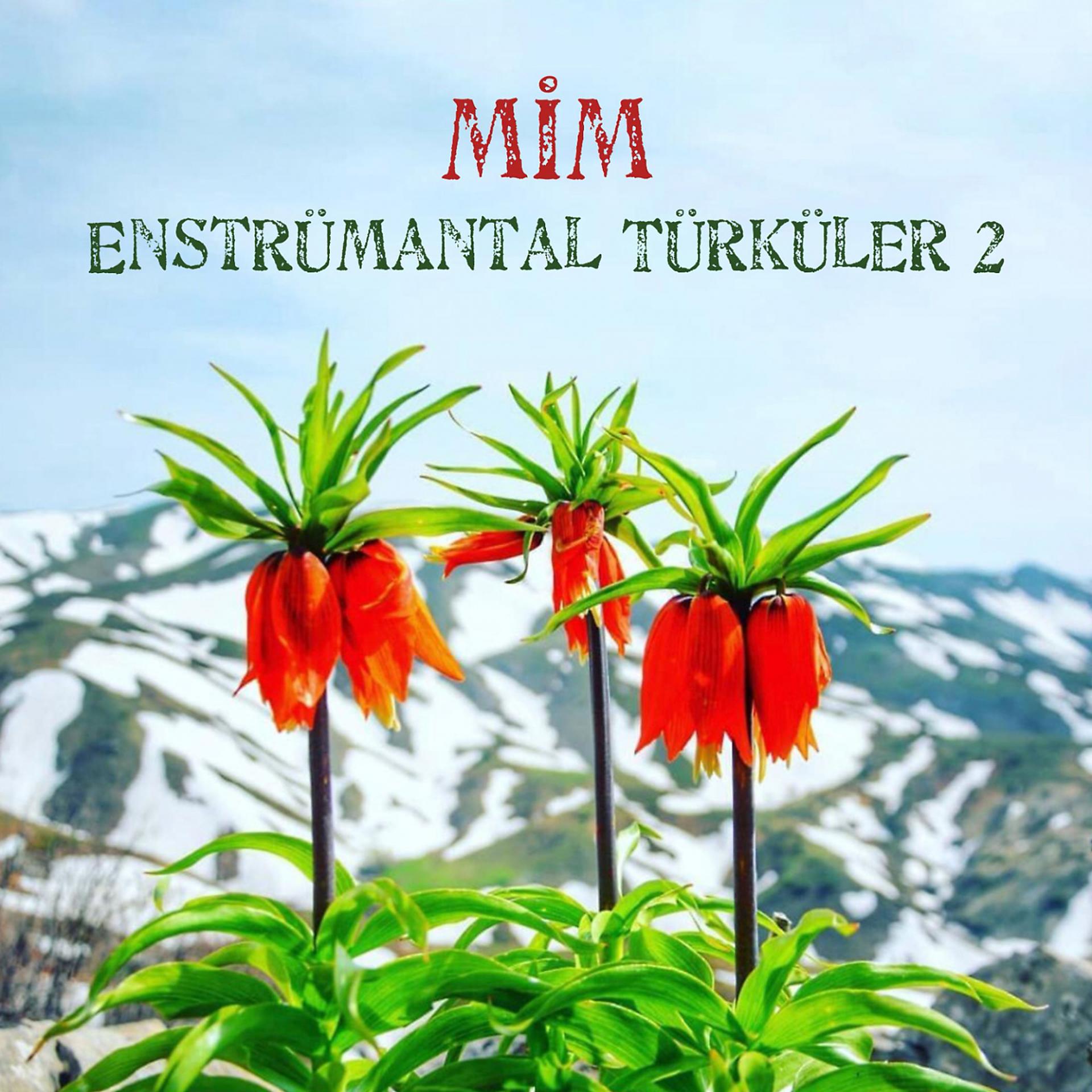 Постер альбома Mim Enstrümantal Türküler