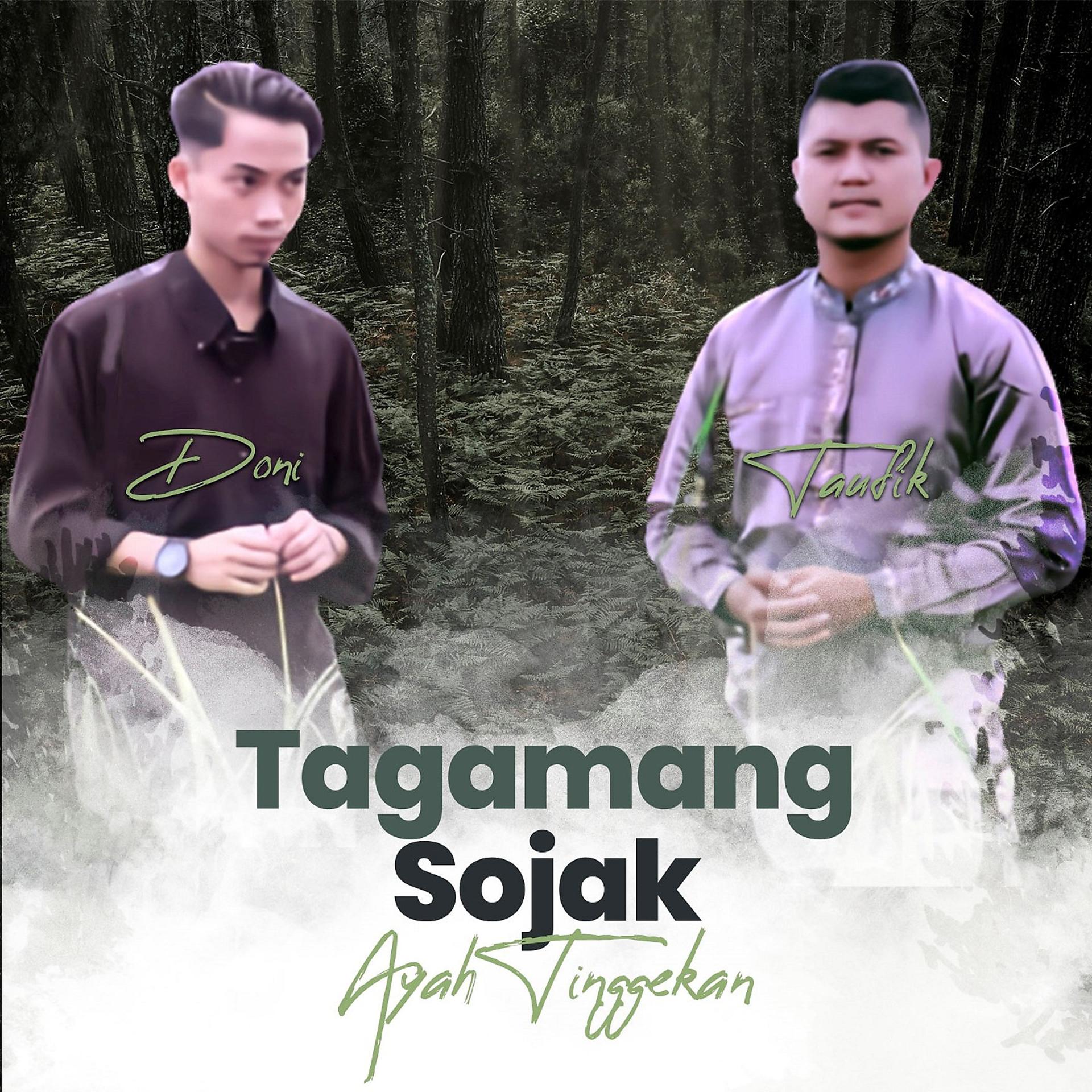 Постер альбома Tagamang Sojak Ayah Tinggekan