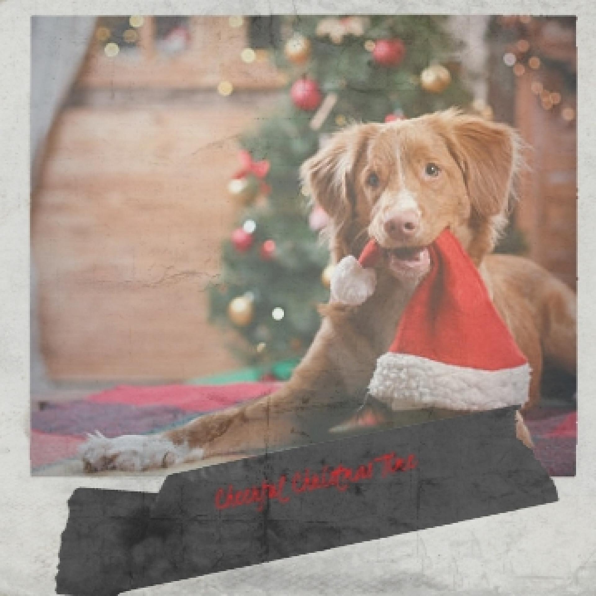 Постер альбома Cheerful Christmas Time