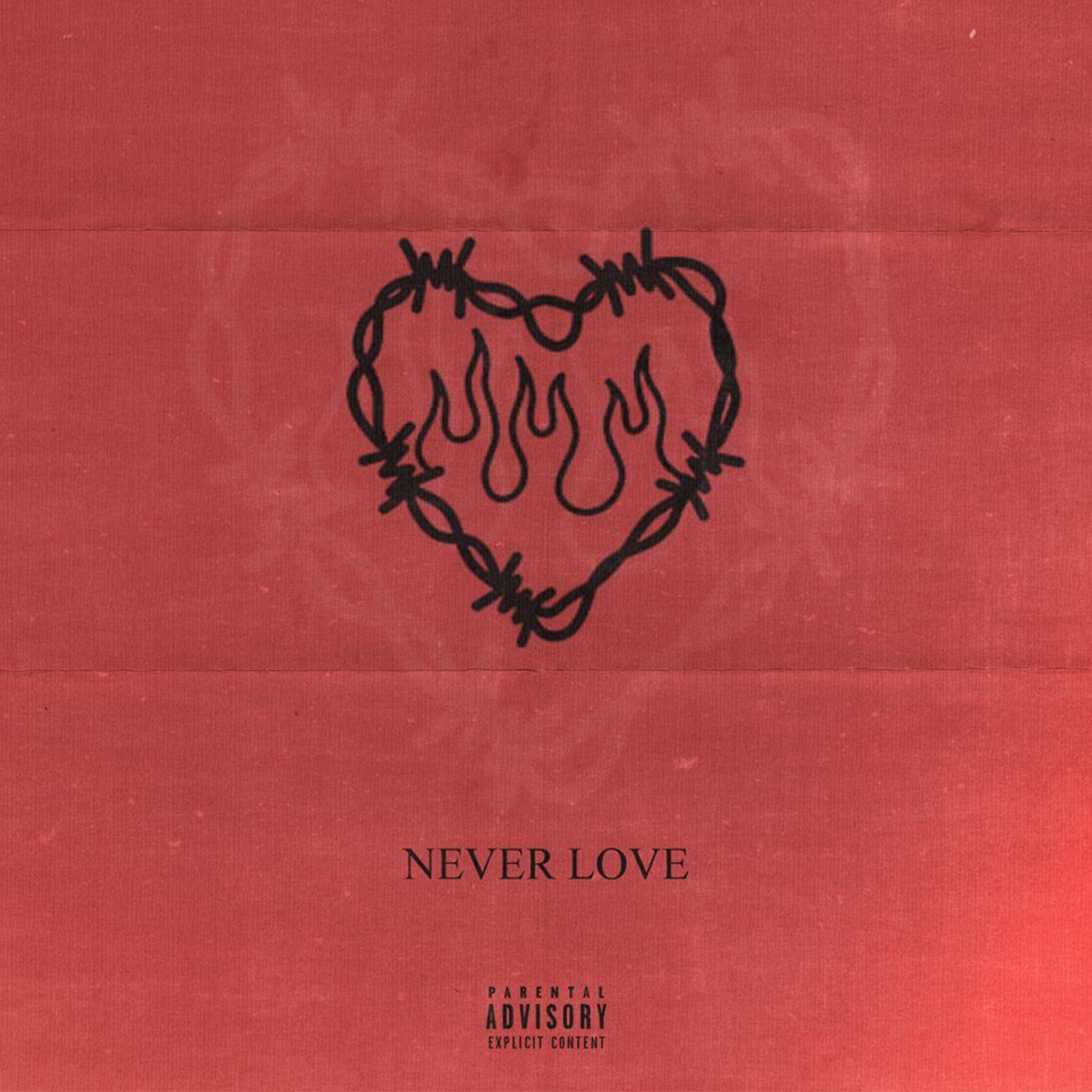 Постер альбома Never Love