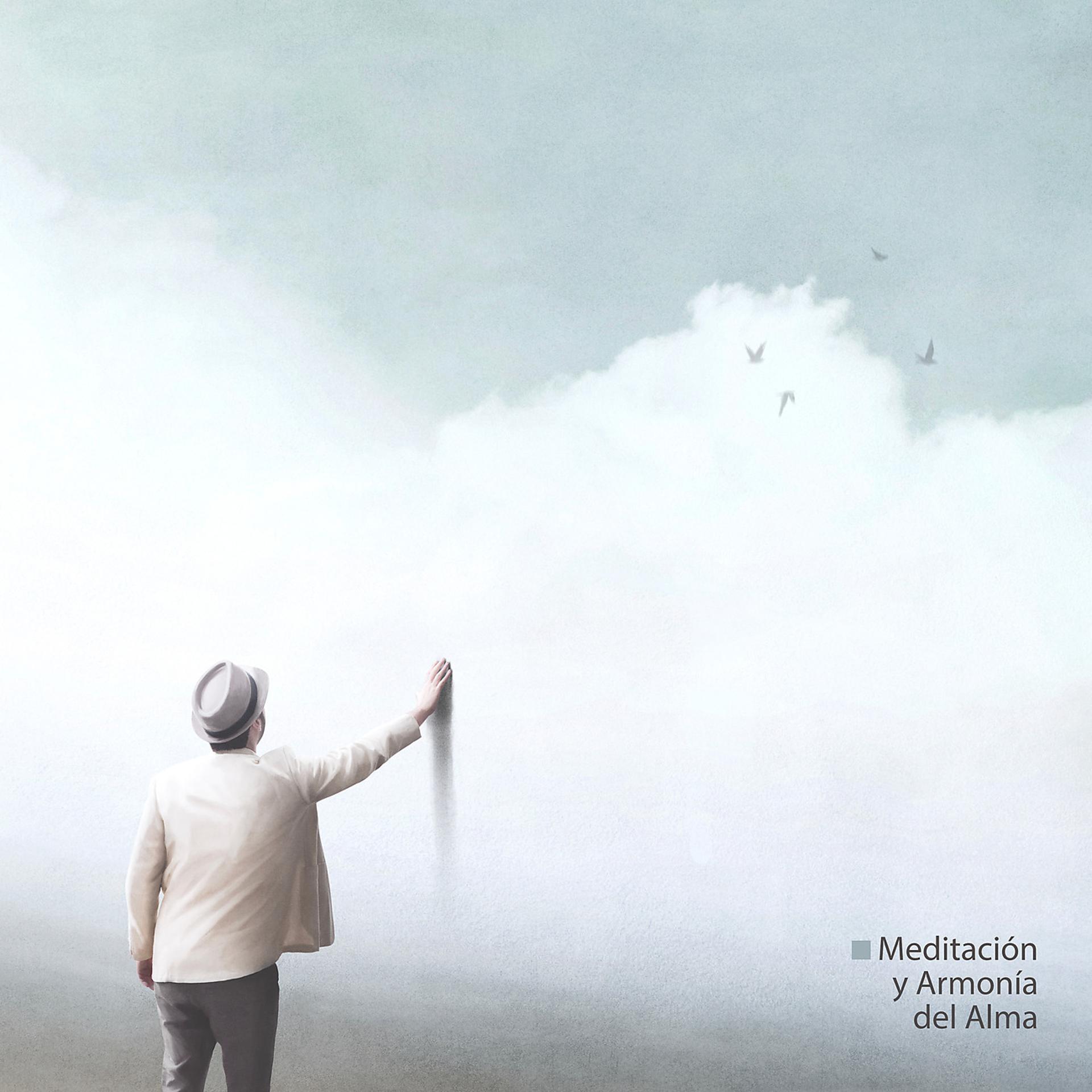 Постер альбома Meditación y Armonía del Alma