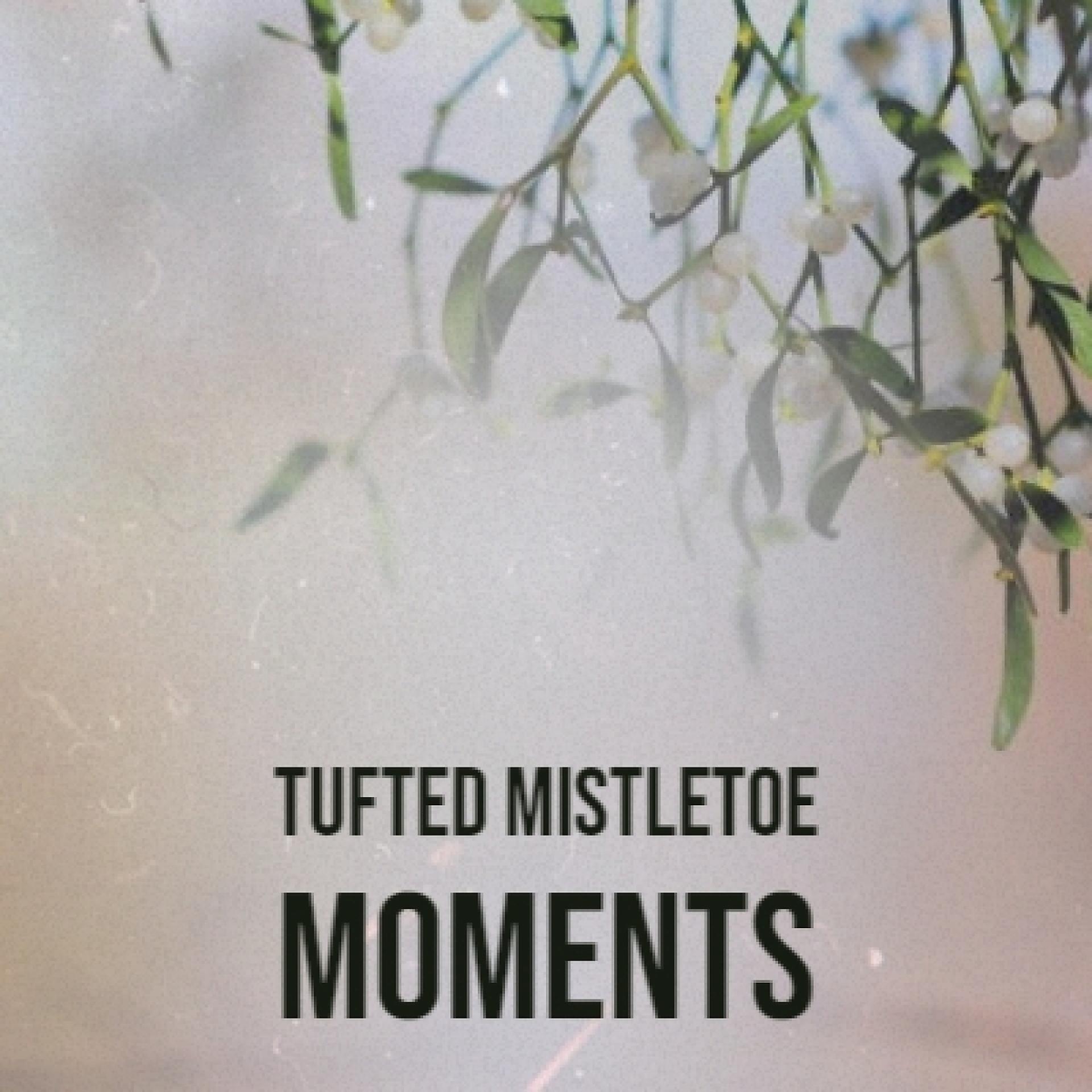 Постер альбома Tufted Mistletoe Moments