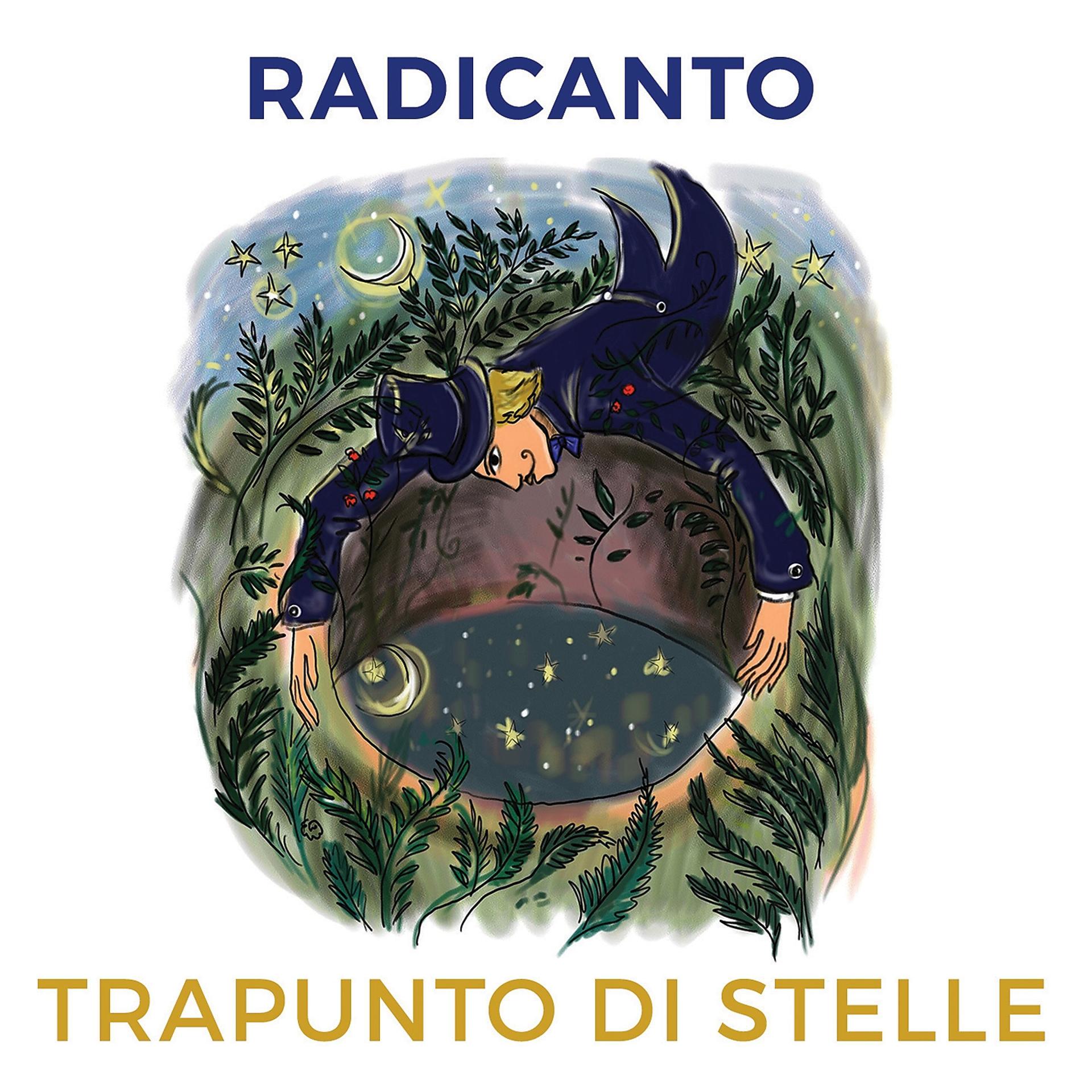 Постер альбома Trapunto di stelle