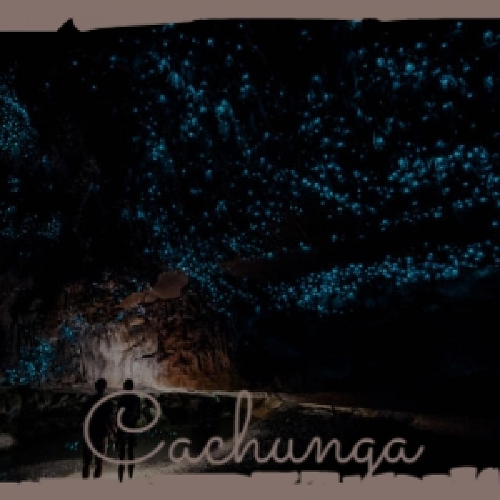 Постер альбома Cachunga