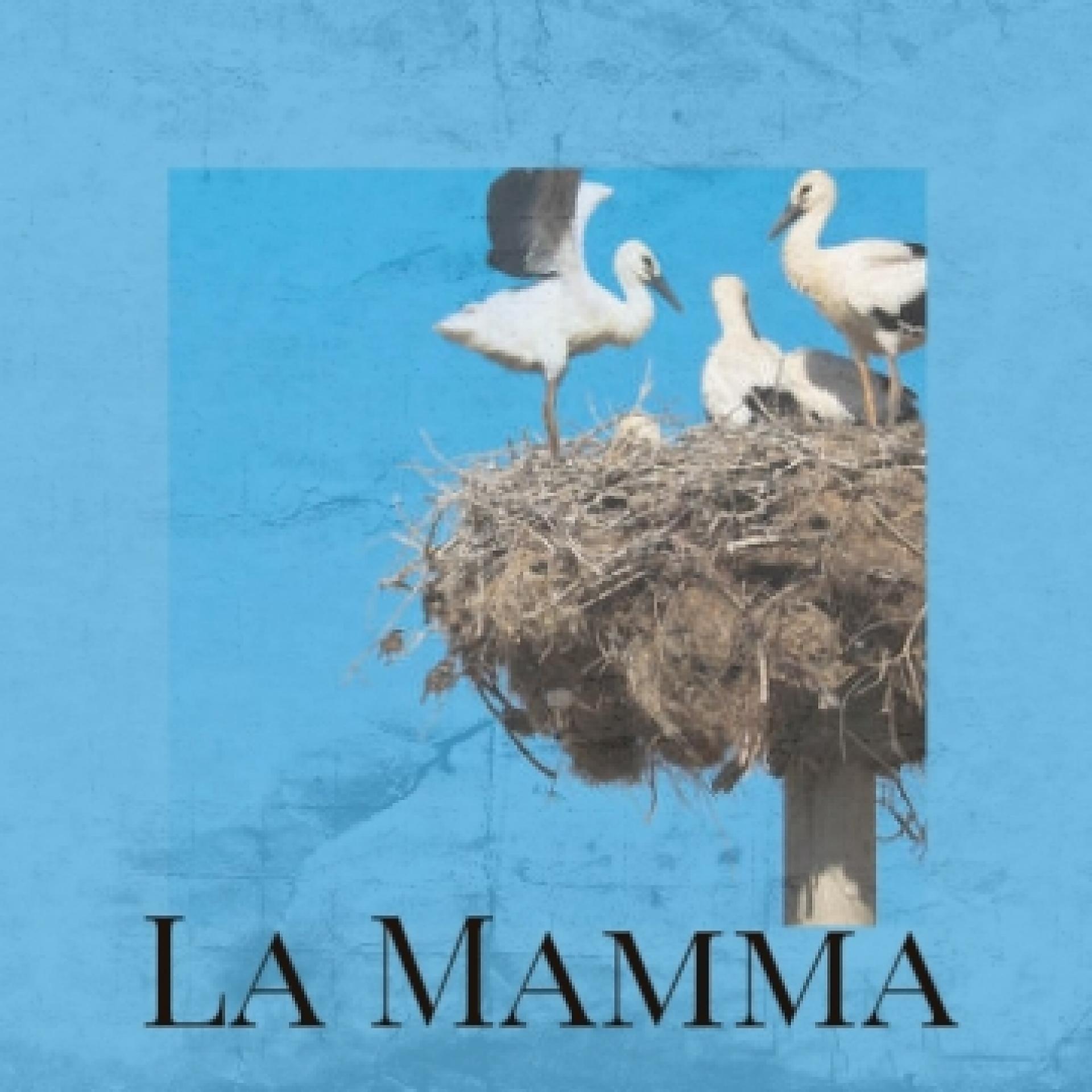 Постер альбома La Mamma
