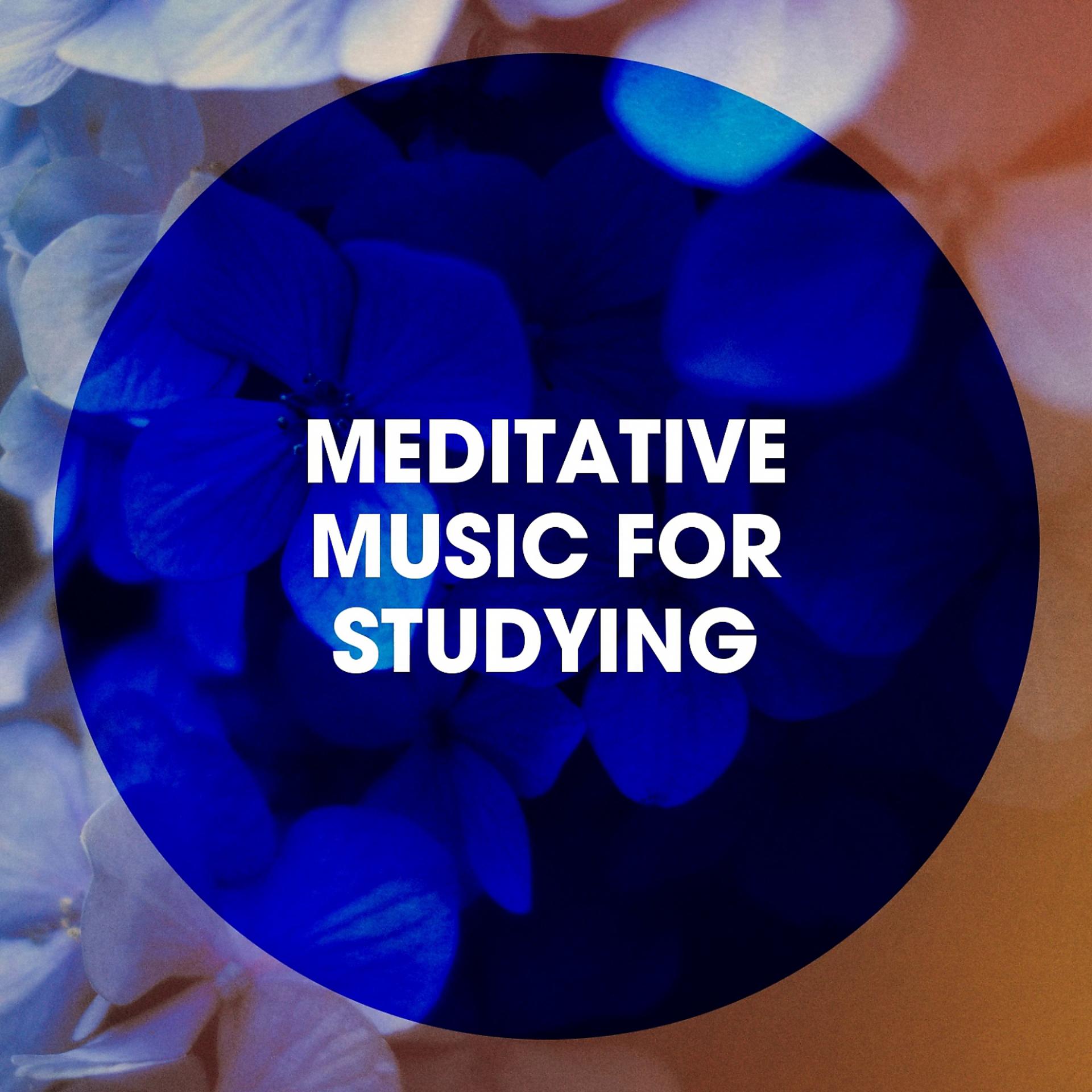Постер альбома Meditative Music for Studying