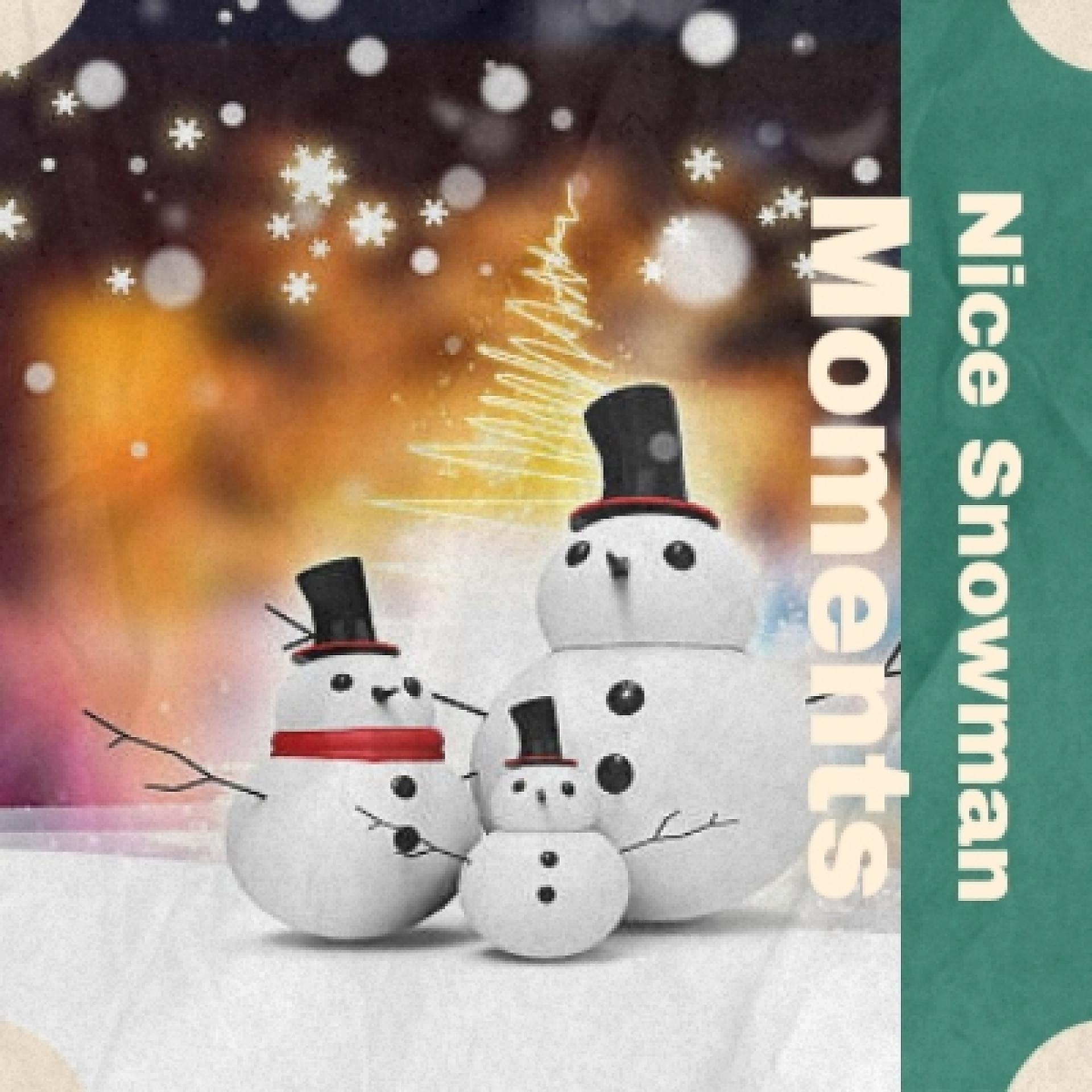 Постер альбома Nice Snowman Moments