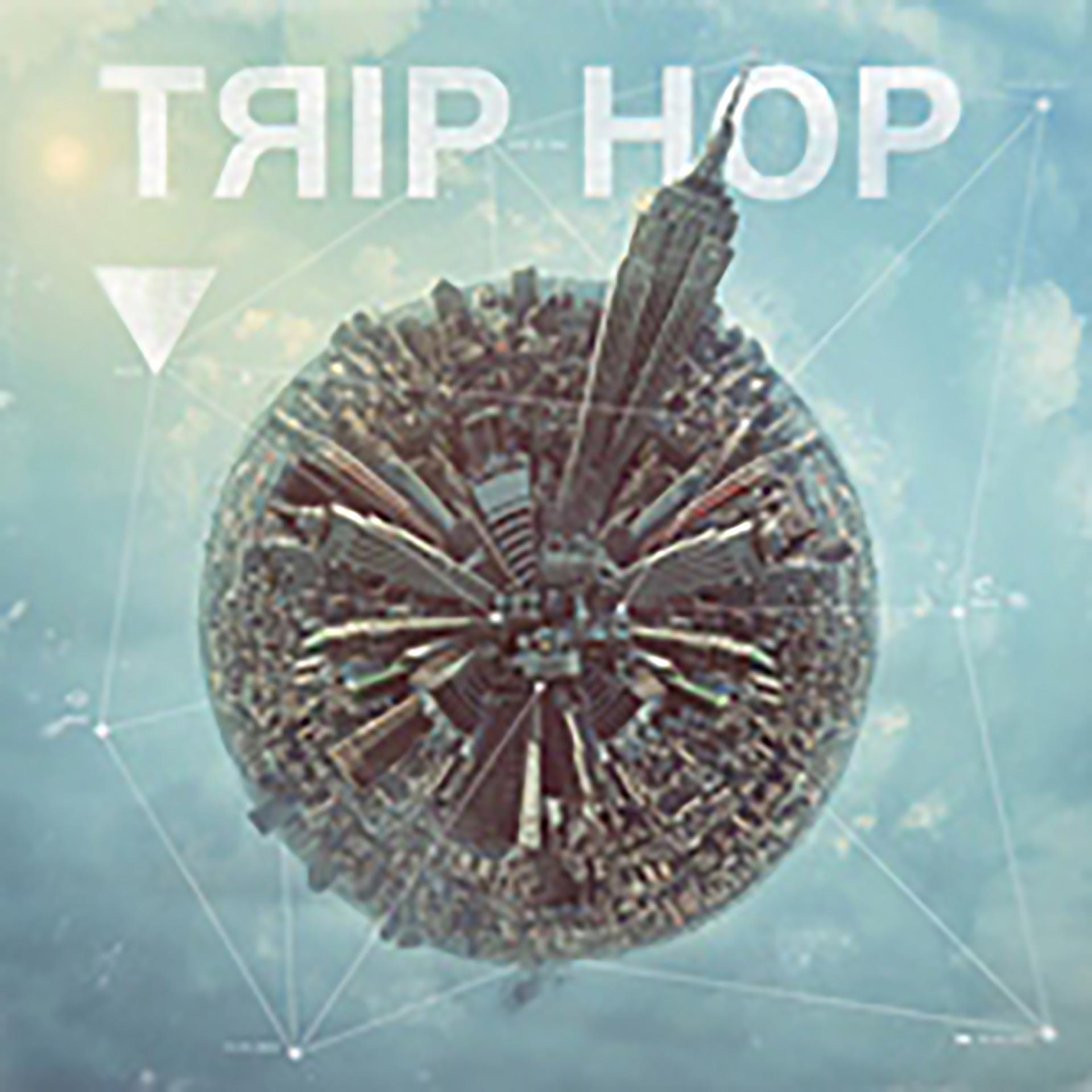 Постер альбома Trip Hop