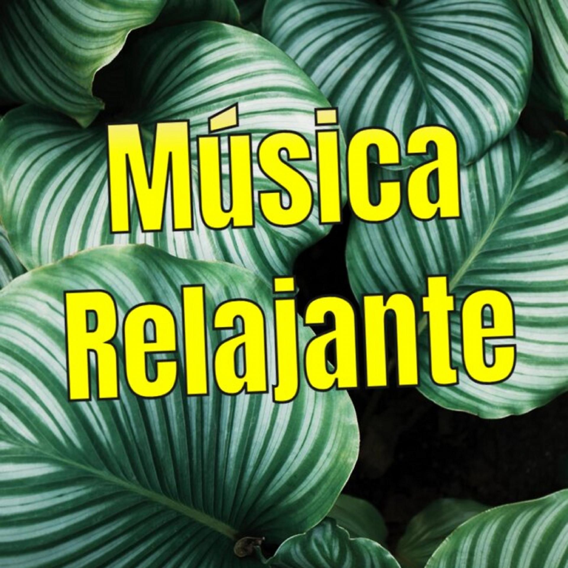 Постер альбома Música Relajante