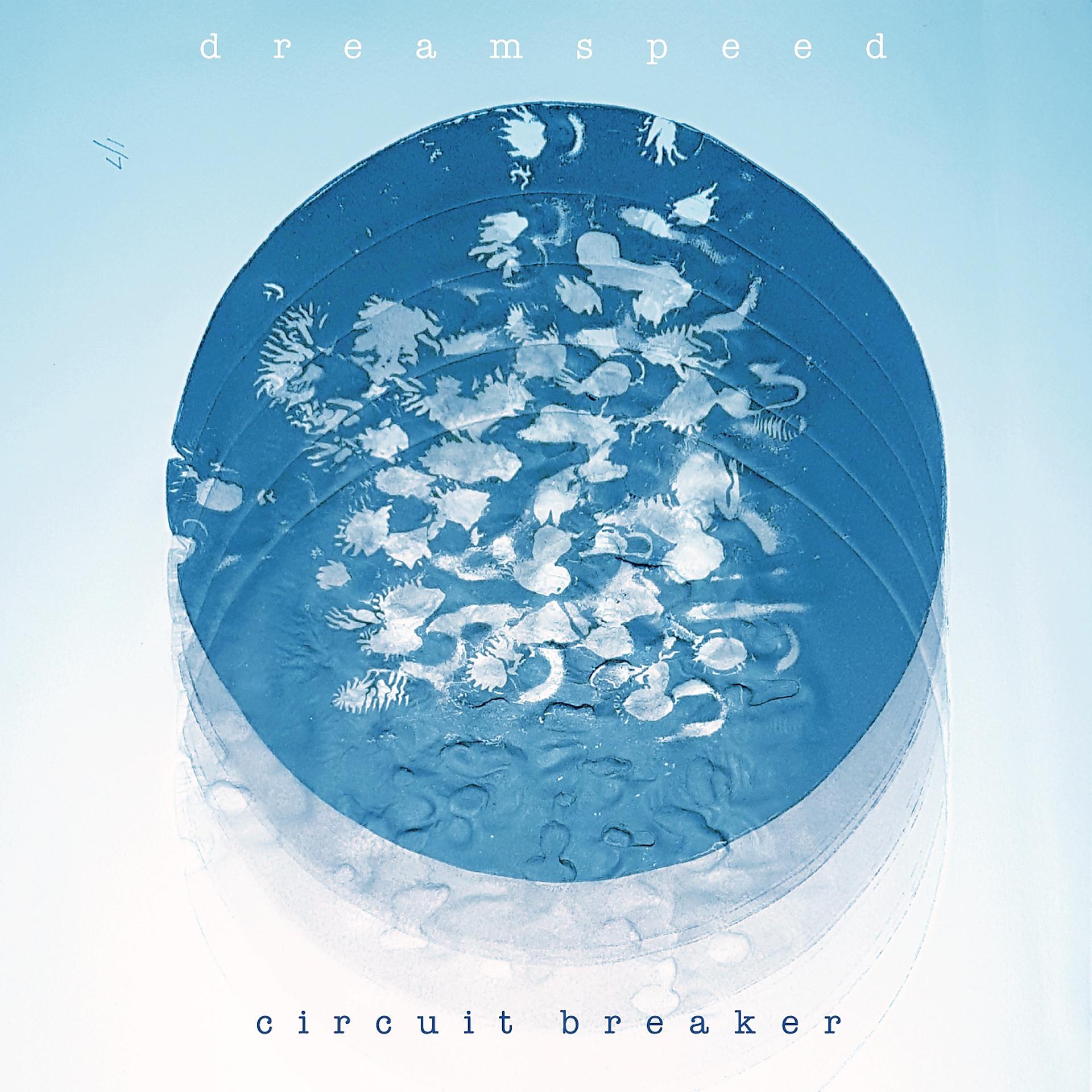 Постер альбома Circuit Breaker