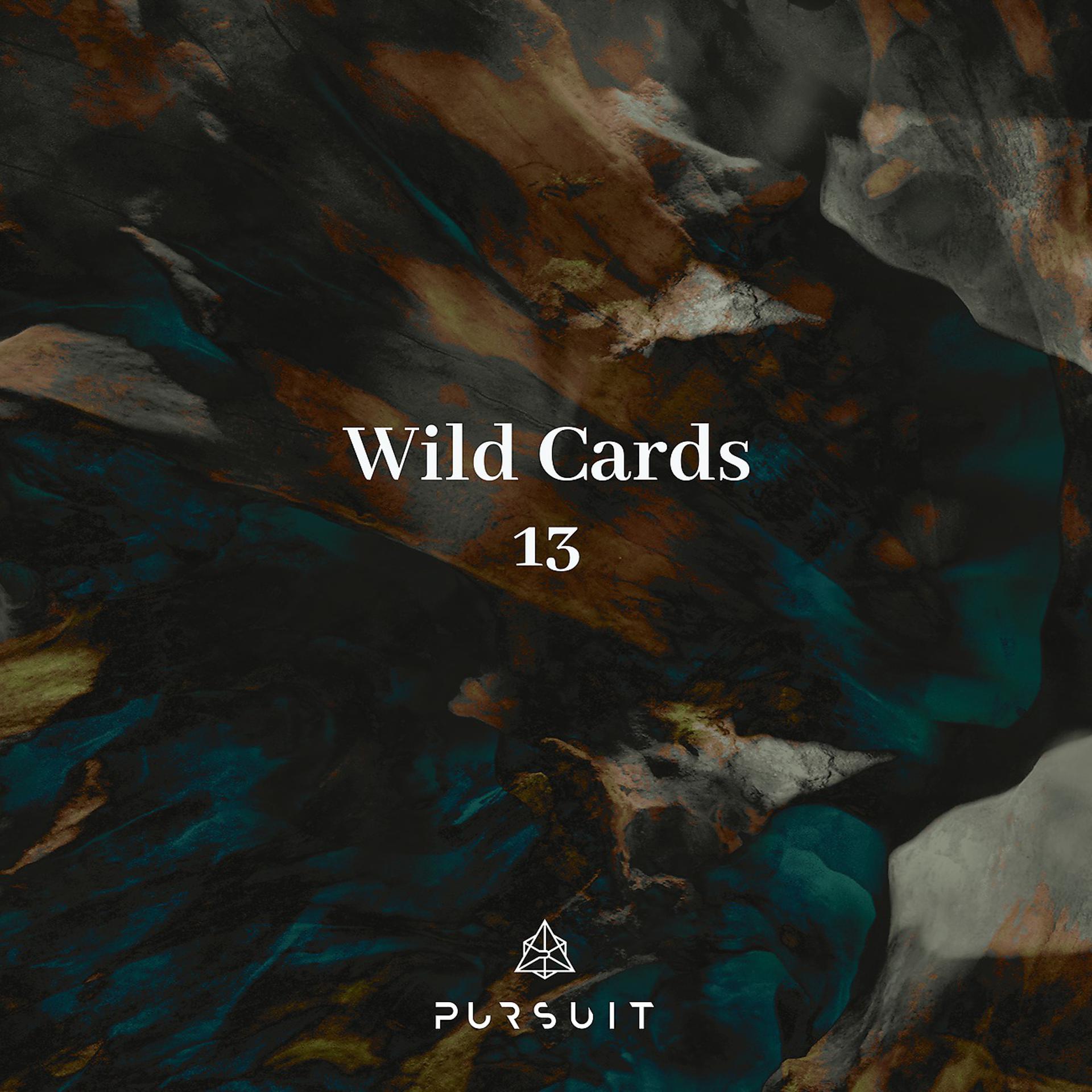 Постер альбома Wild Cards 13