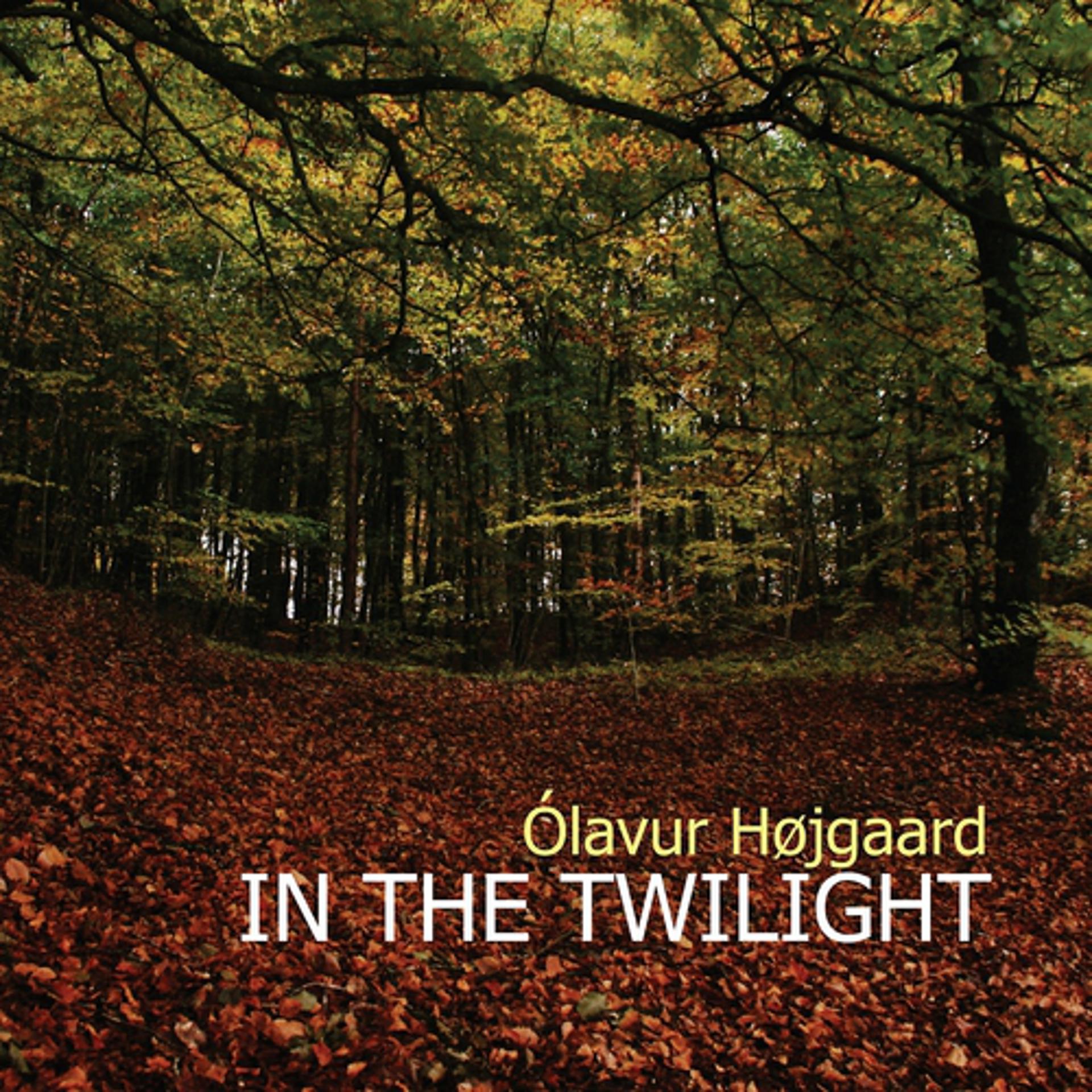 Постер альбома In the Twilight