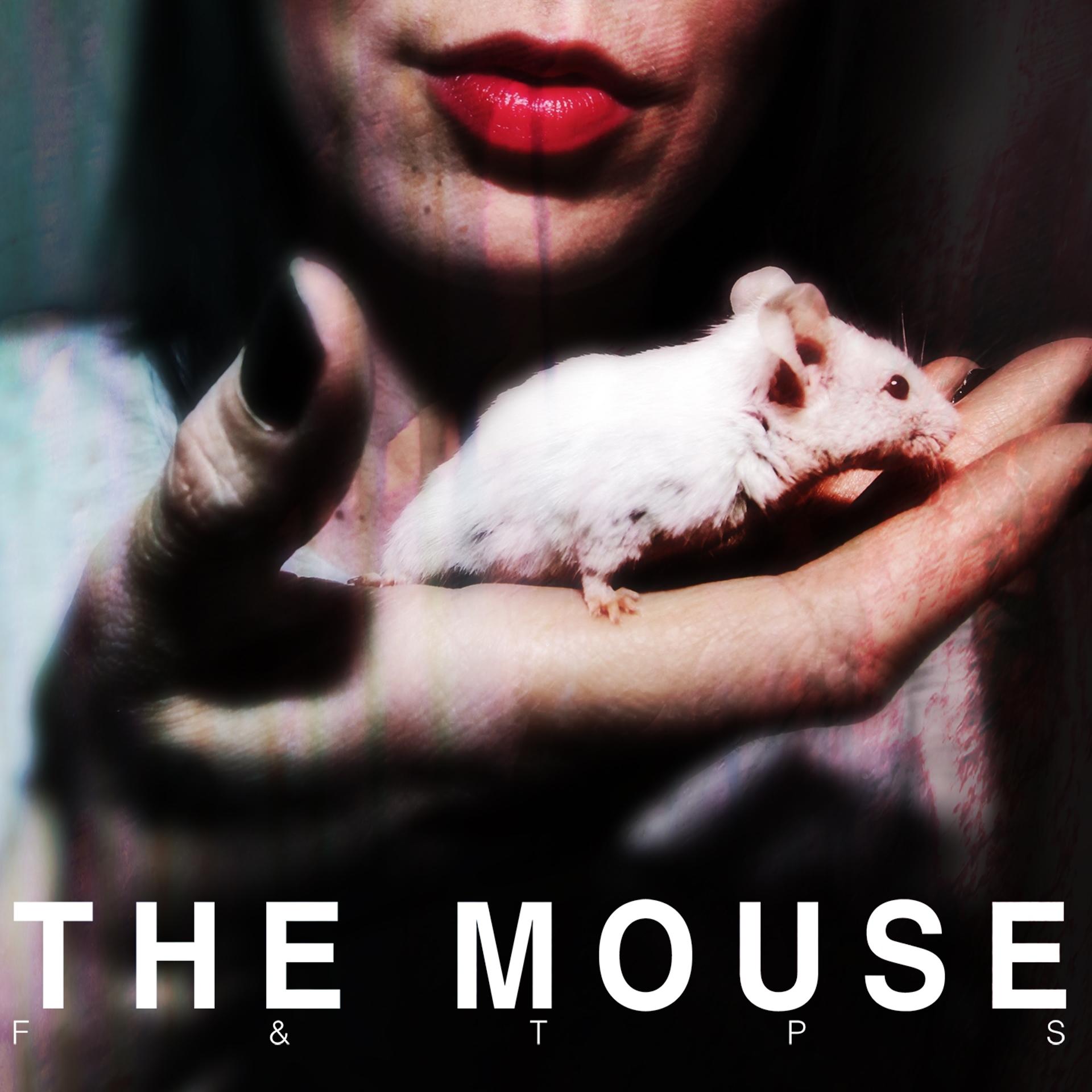 Постер альбома The Mouse
