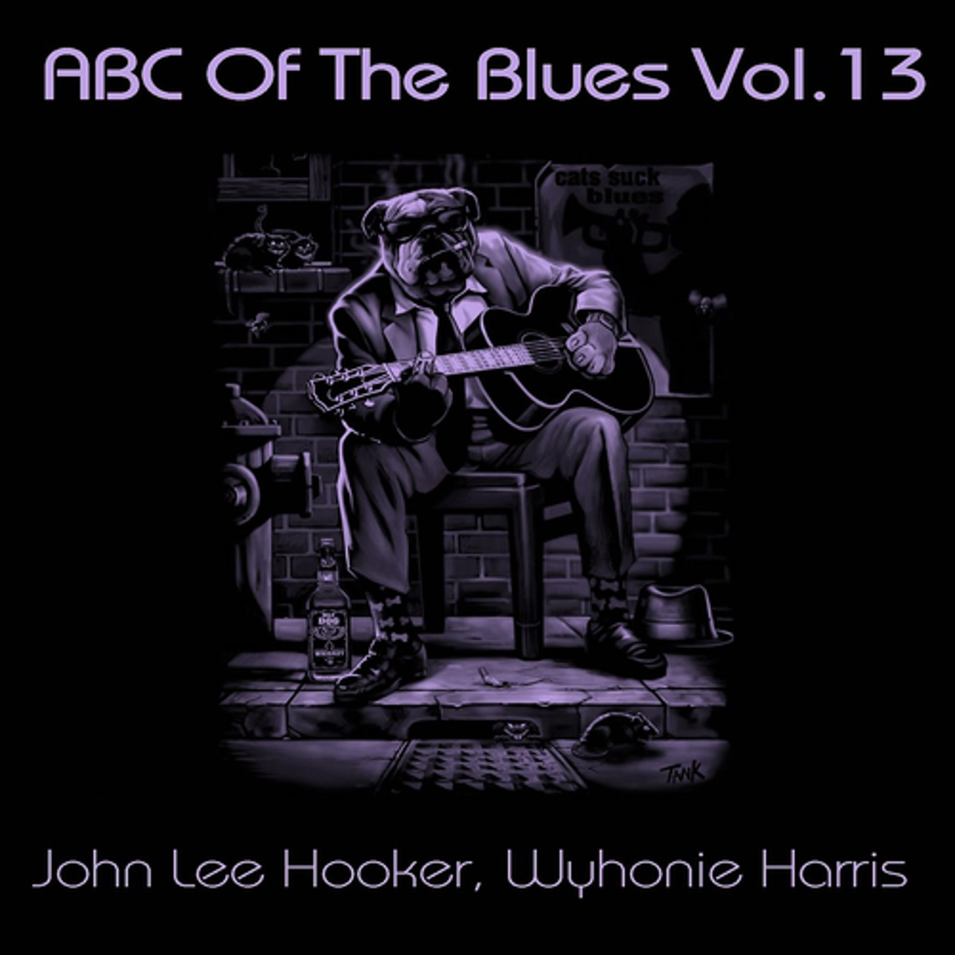 Постер альбома ABC of the Blues, Vol. 13