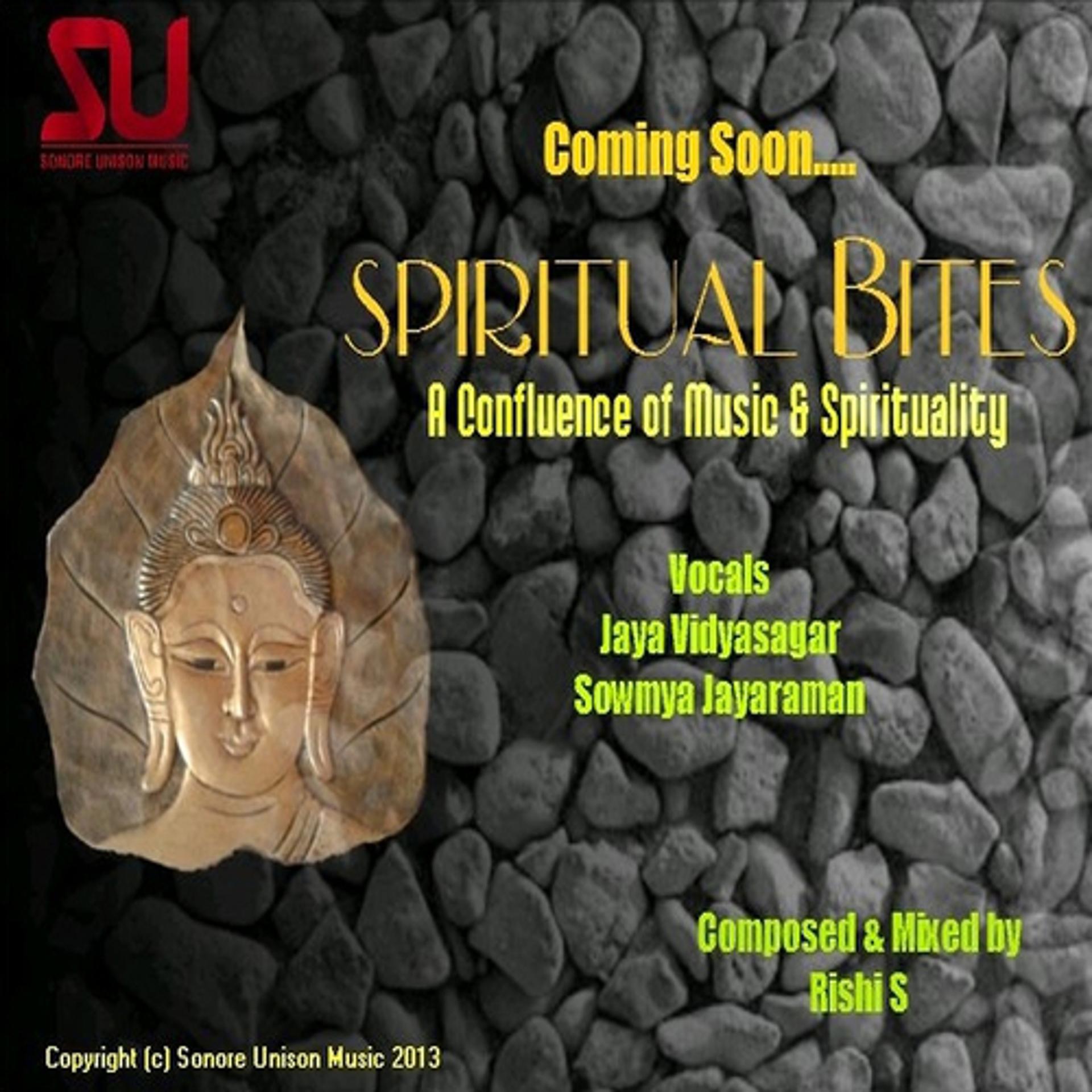 Постер альбома Spiritual Bites - A Confluence of Music and Spirituality