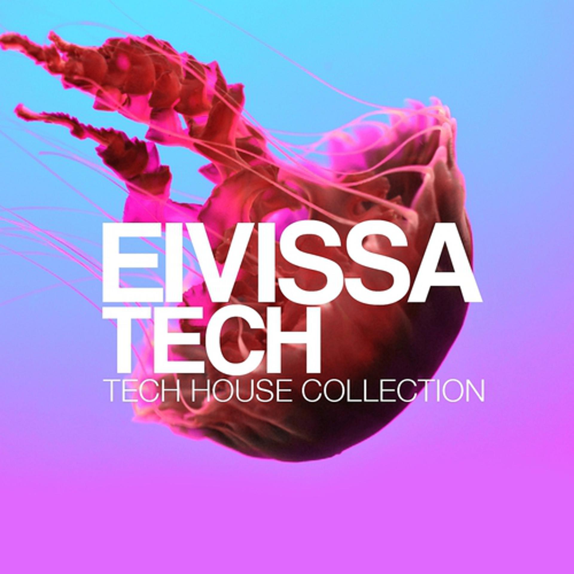 Постер альбома Eivissa Tech Session