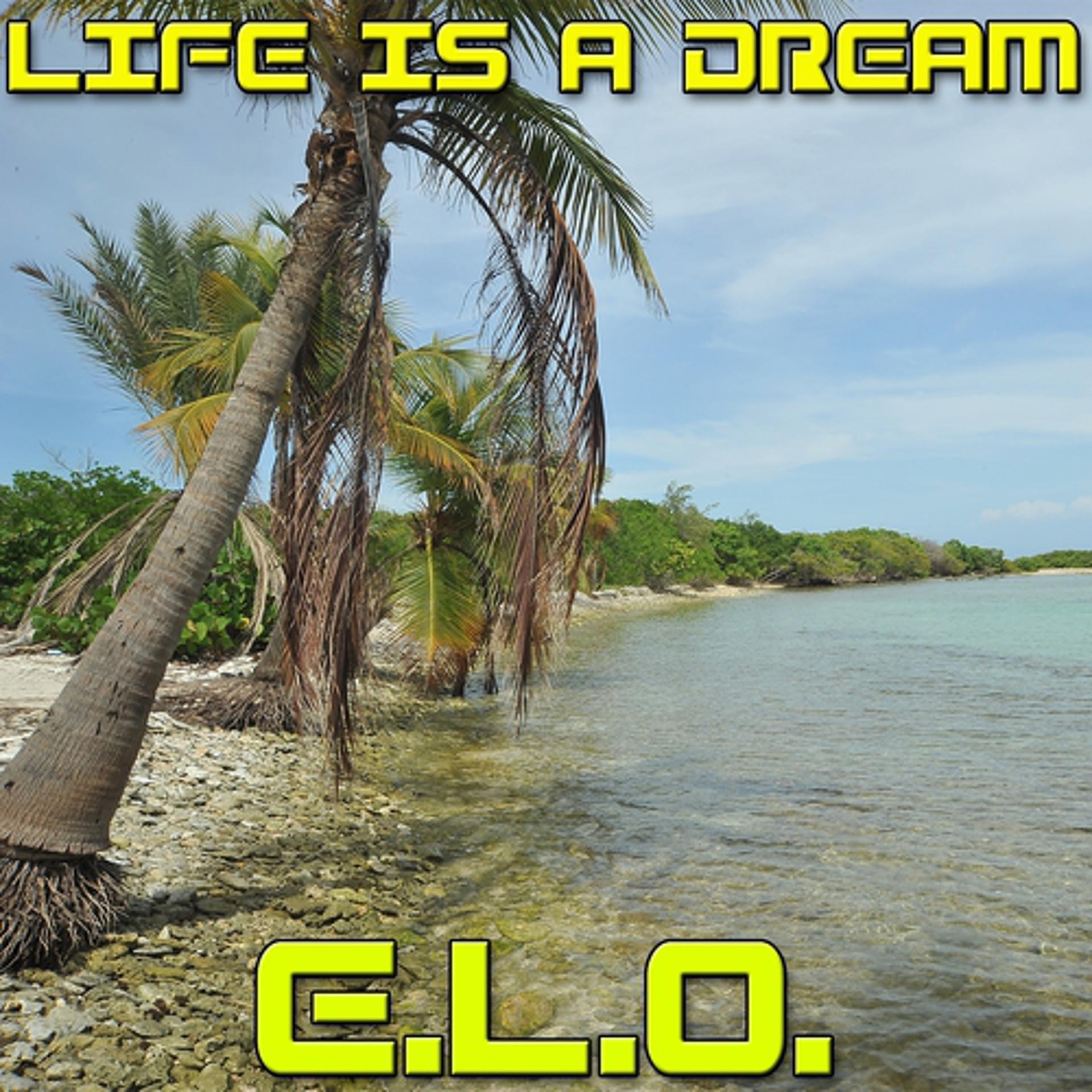 Постер альбома Life Is a Dream
