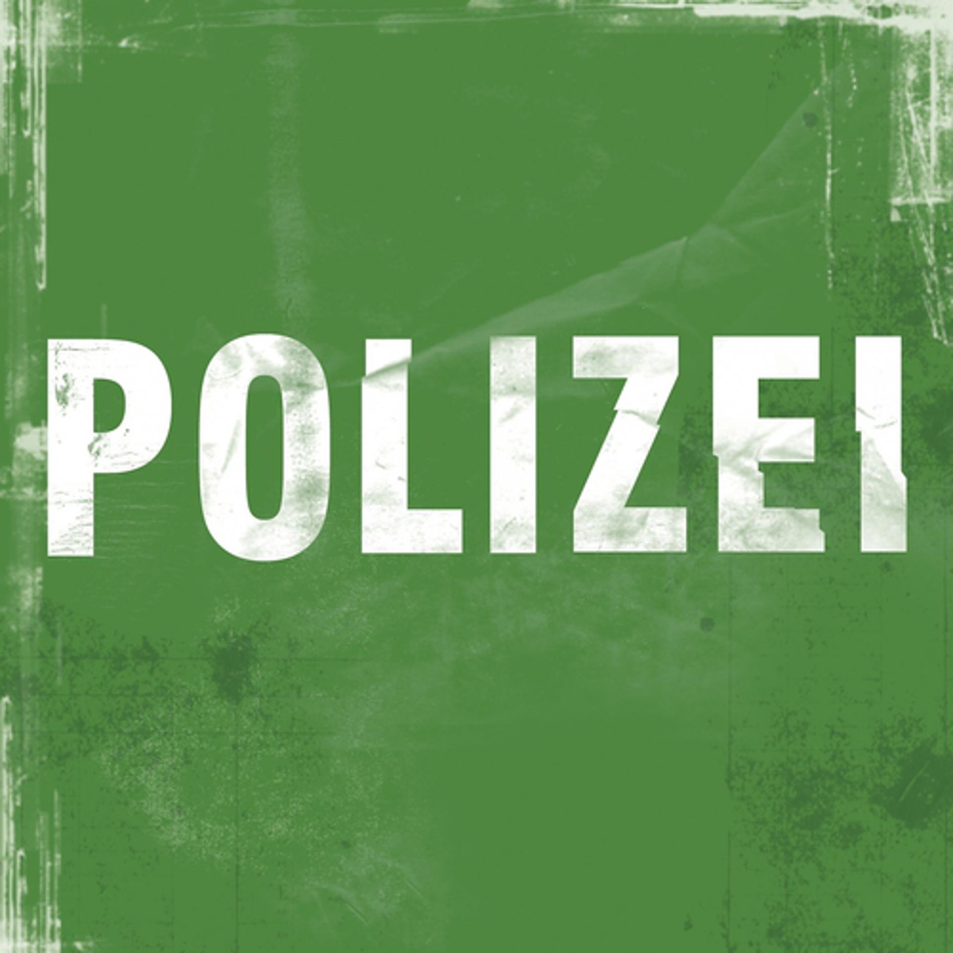 Постер альбома Polizei