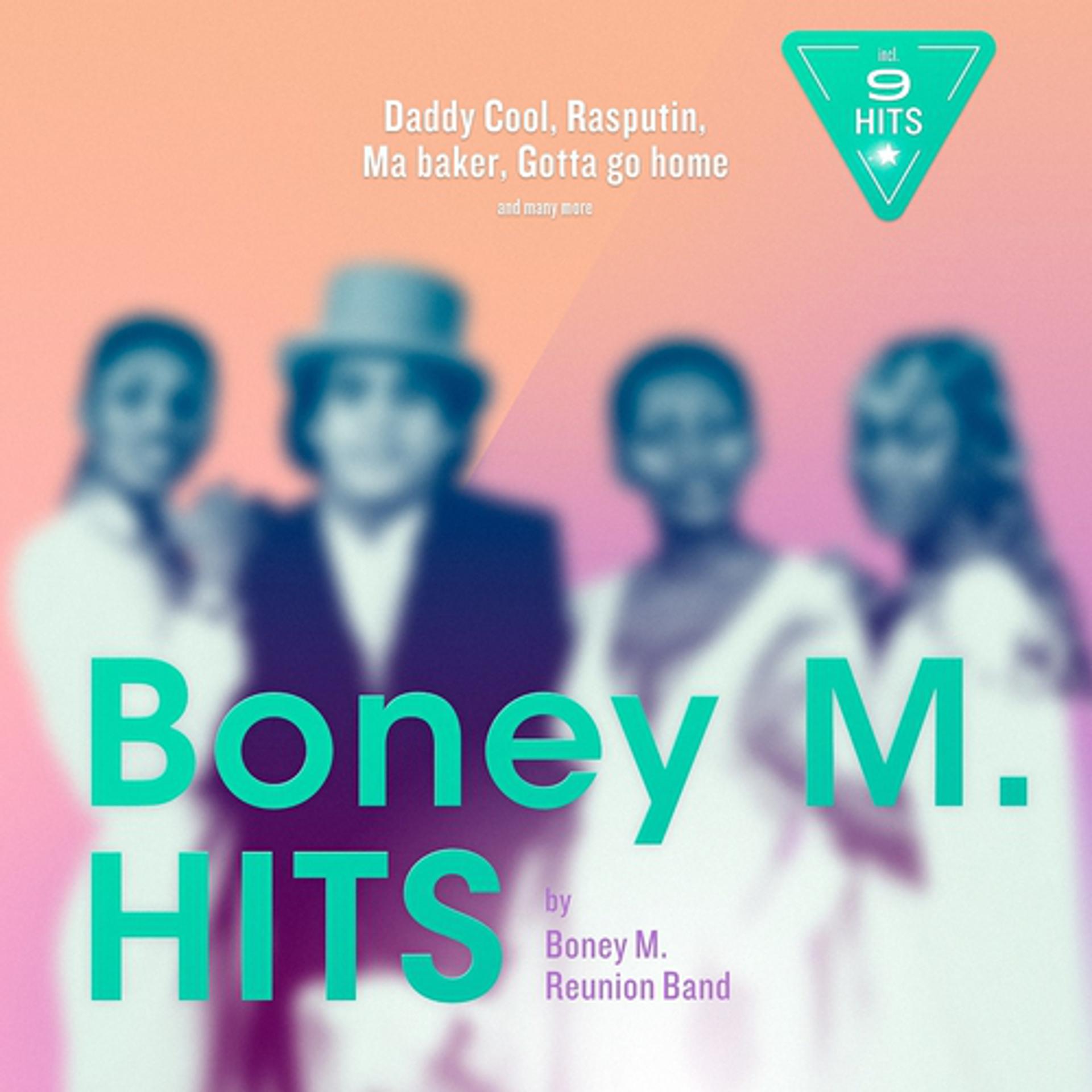 Постер альбома BONEY M HITS