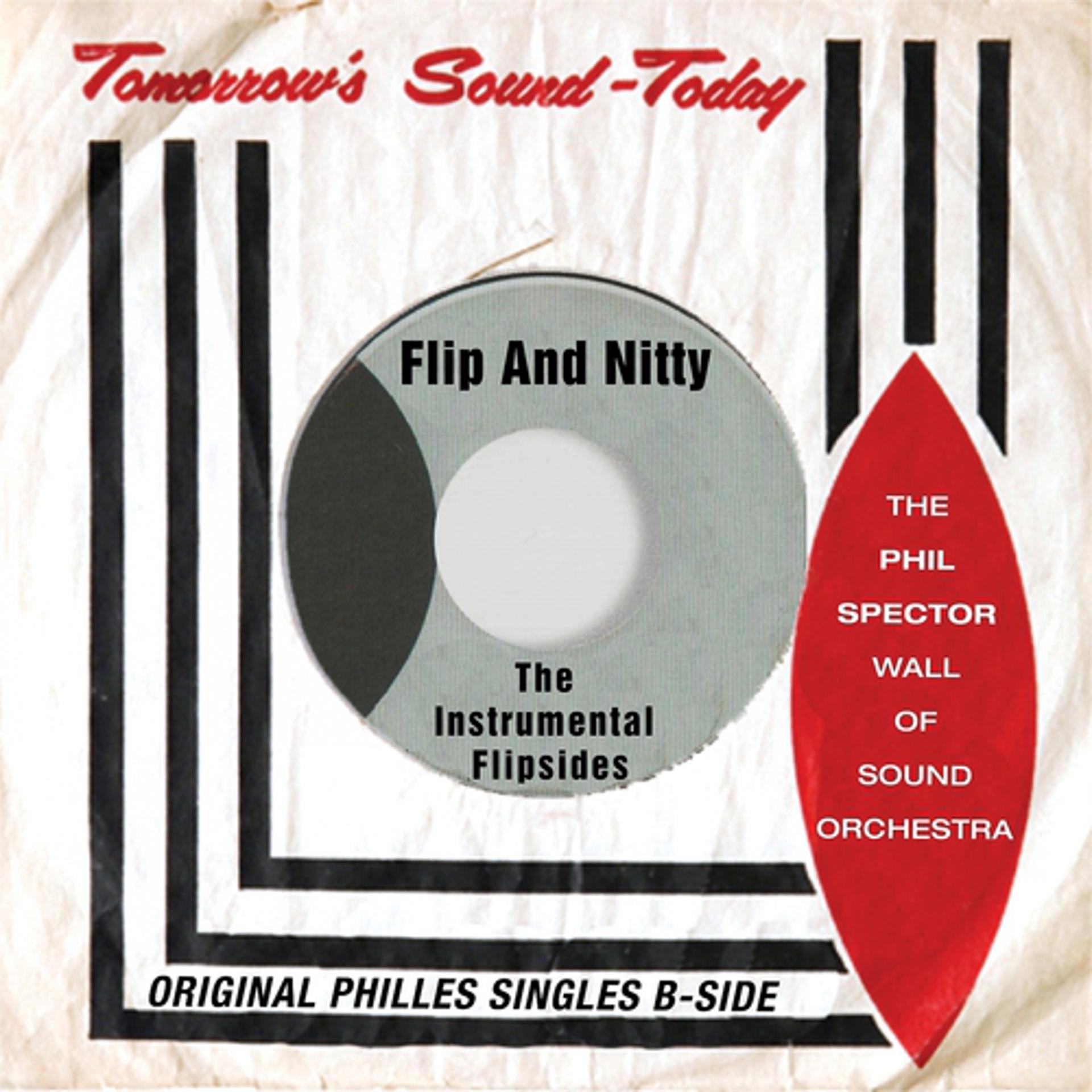 Постер альбома Flip and Nitty - the Instrumental Flipsides