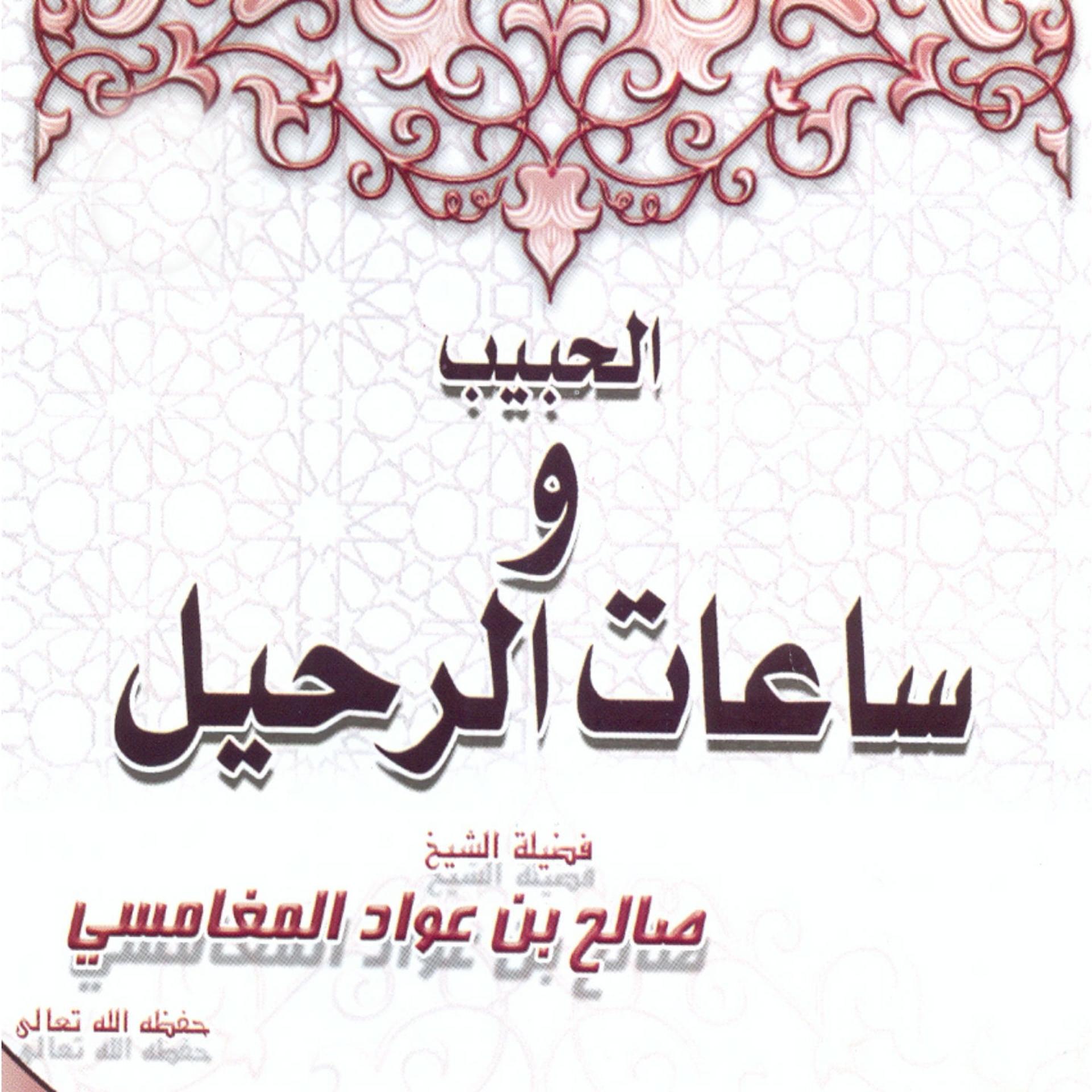 Постер альбома Al habib wa seâat arrahil