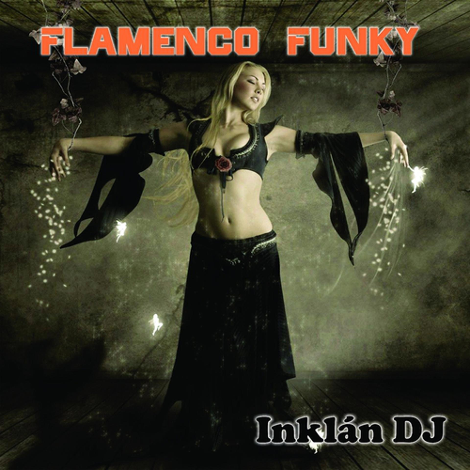 Постер альбома Flamenco Funky