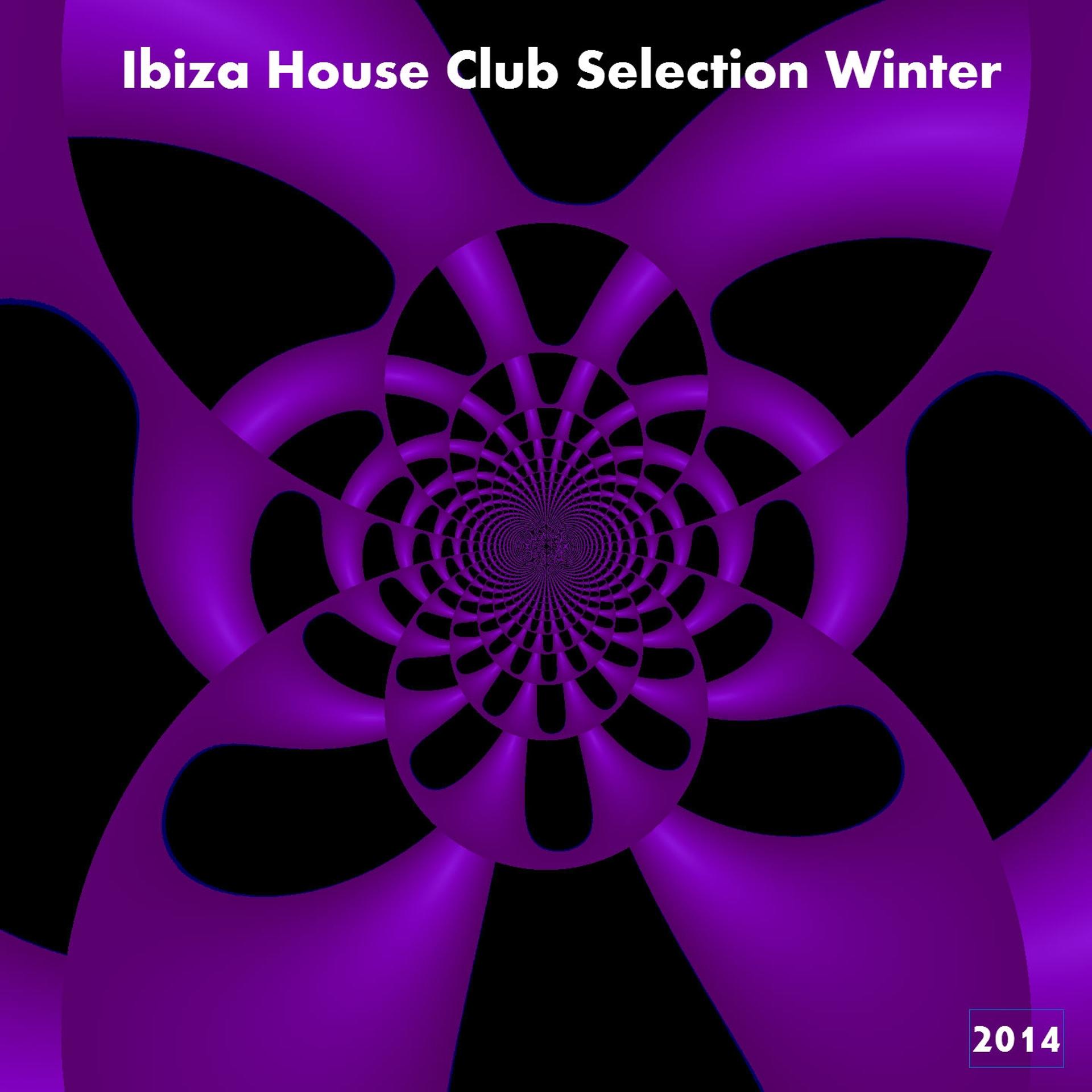 Постер альбома Ibiza House Club Selection Winter 2014 (50 Essential House Electro Dance for DJ Session)