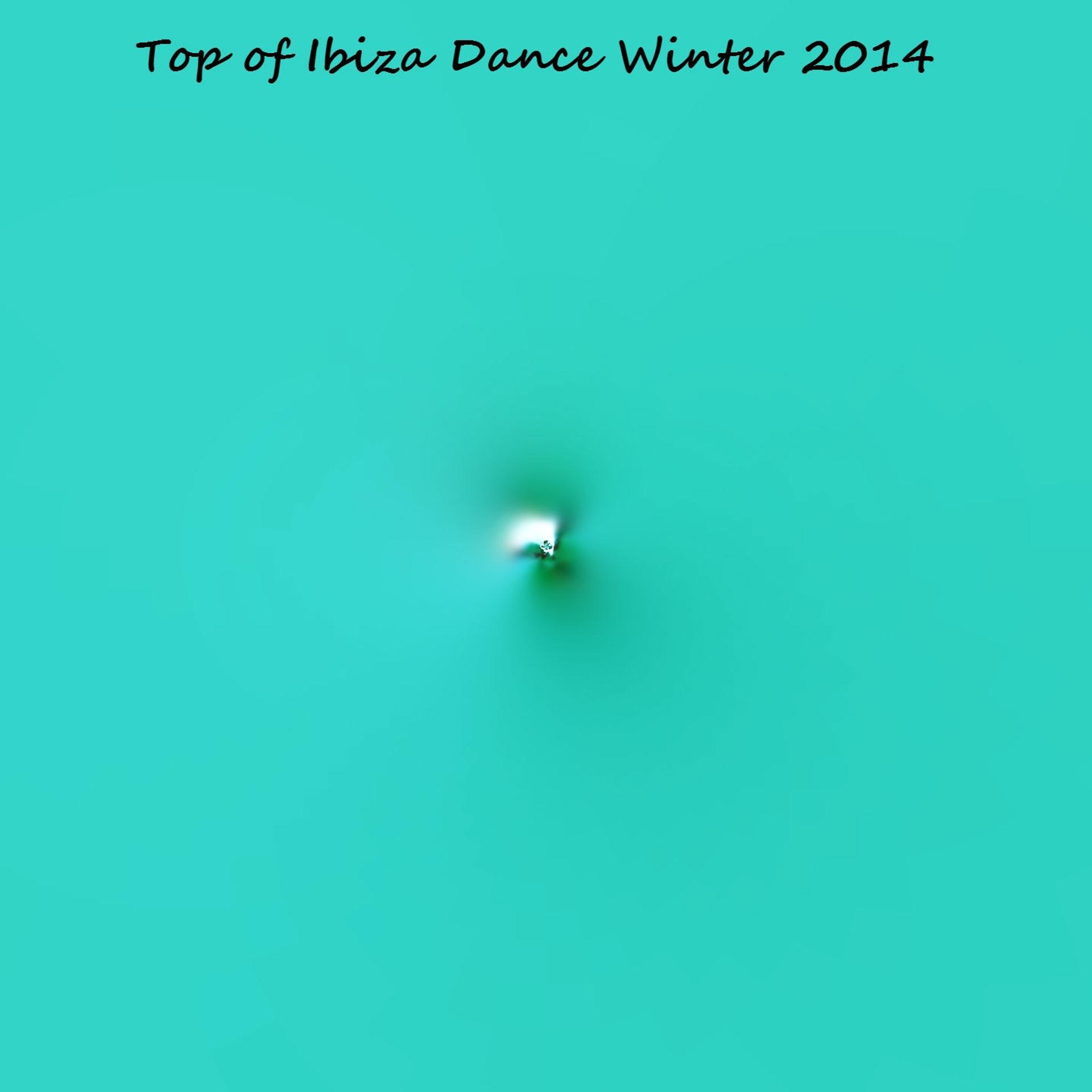 Постер альбома Top of Ibiza Dance Winter 2014 (60 Hits Dance)